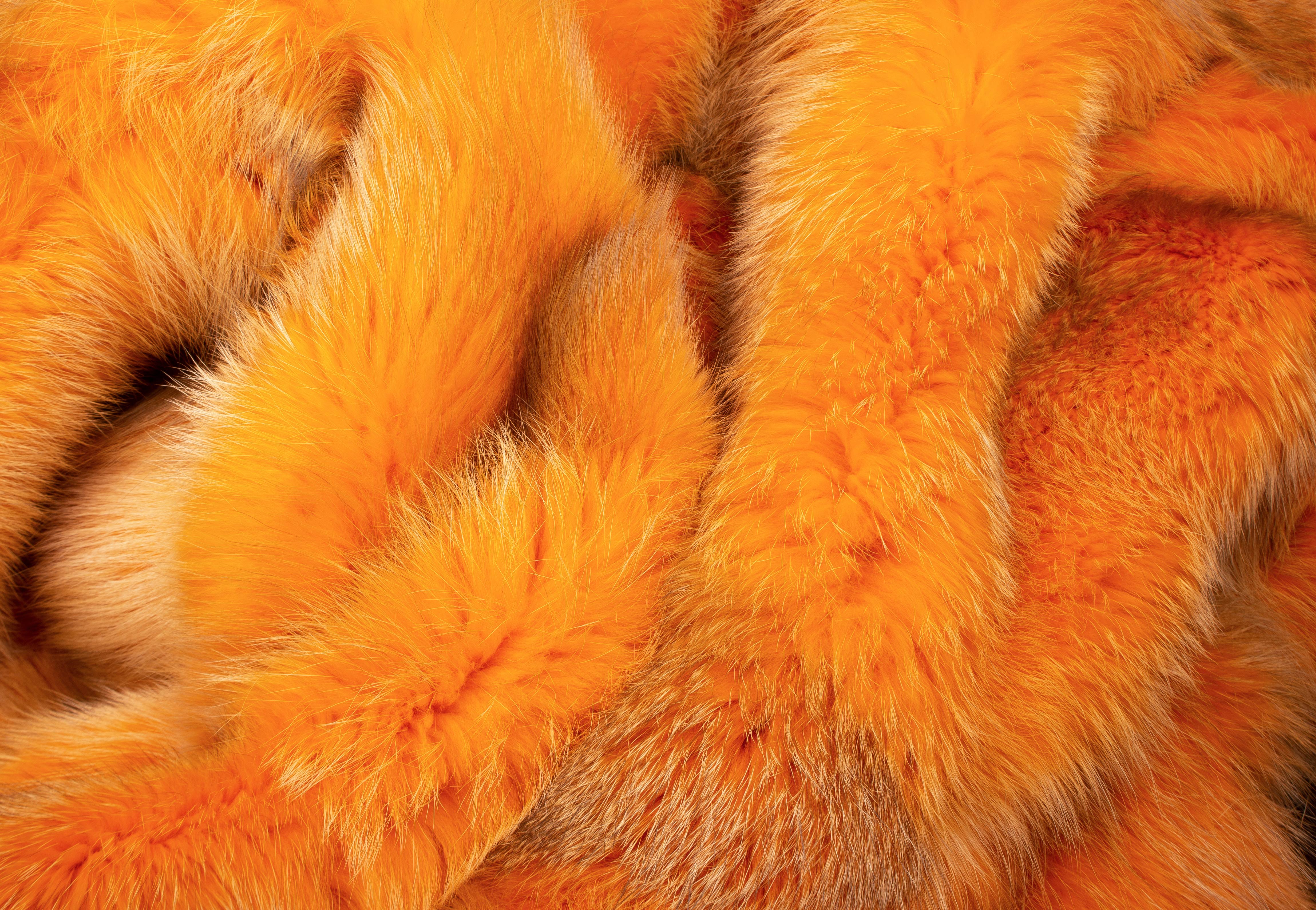 Authentic European Red Fox Blanket in orange