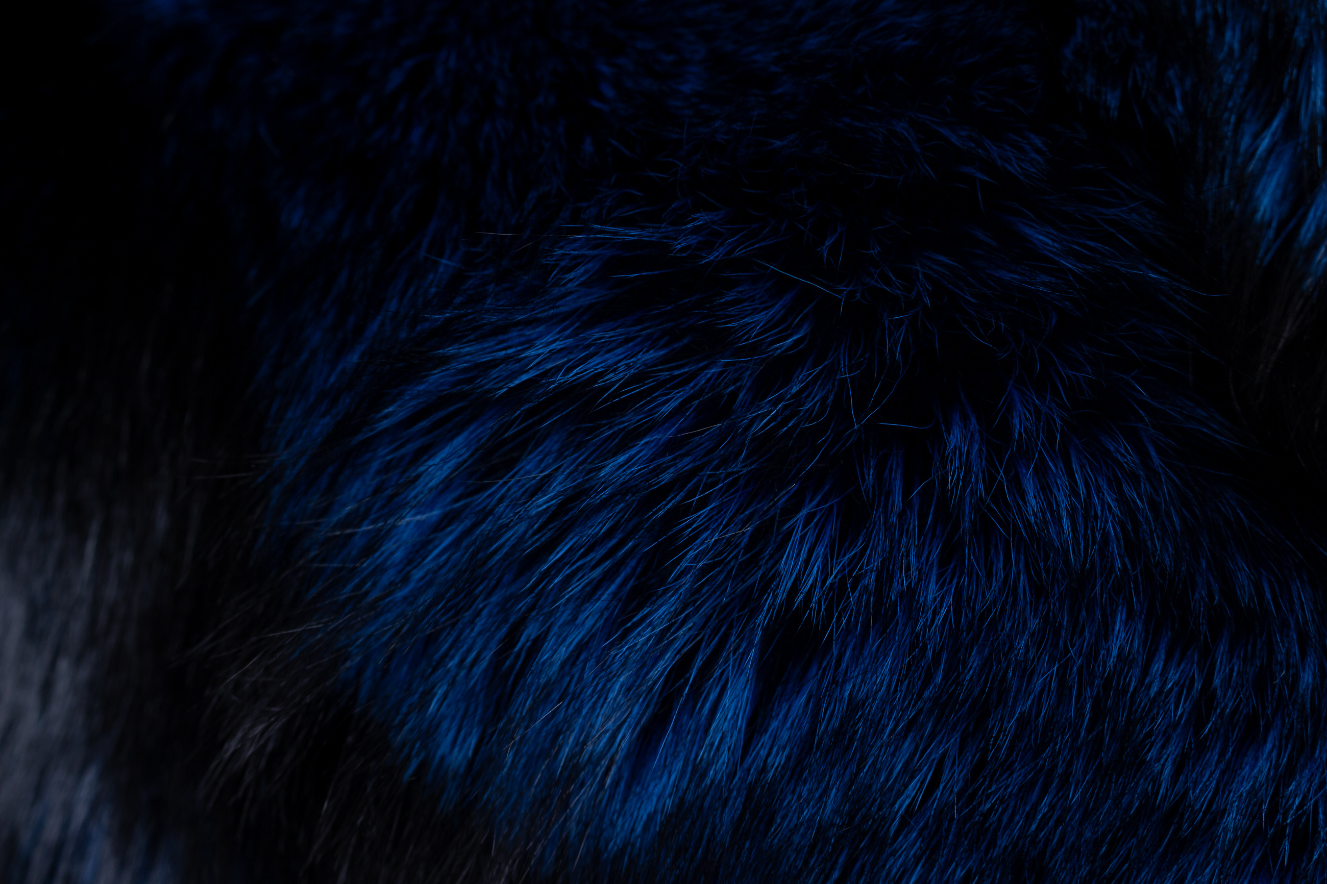 Real Fur Silver Fox Pillow in royal blue