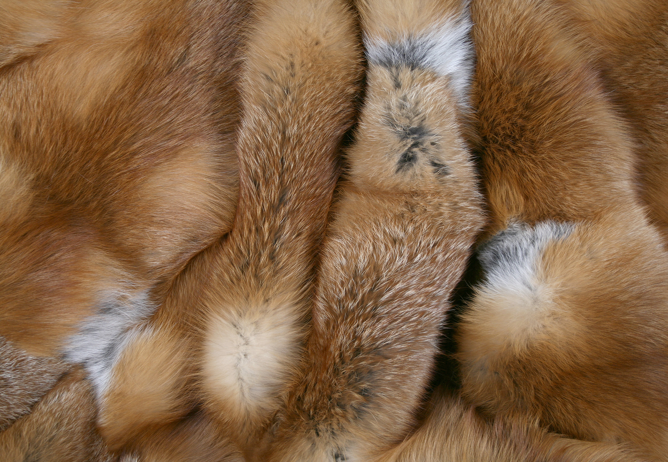 Canadian Red Fox fur blanket natural (Fur Harvesters)