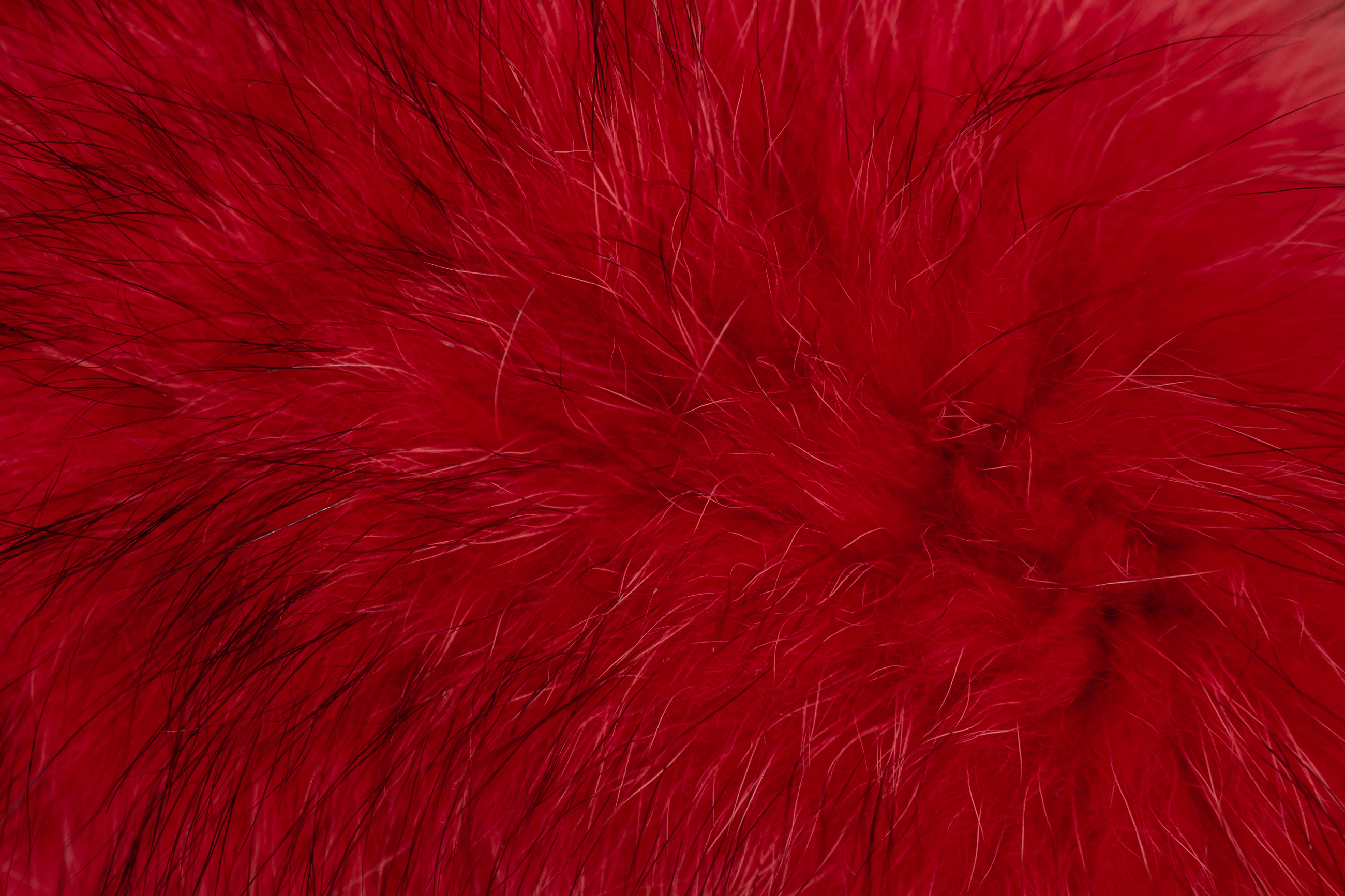 Canadian Raccoon Fur Cushion in Red