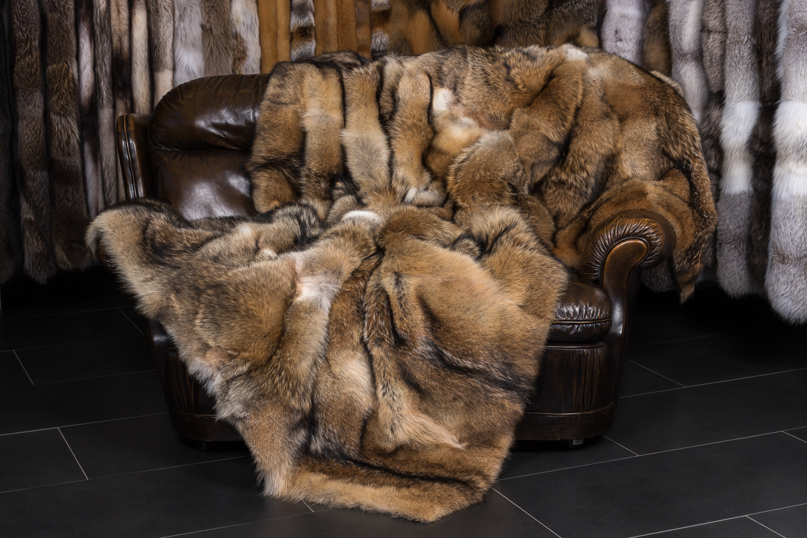 Canadian Coyote Blanket