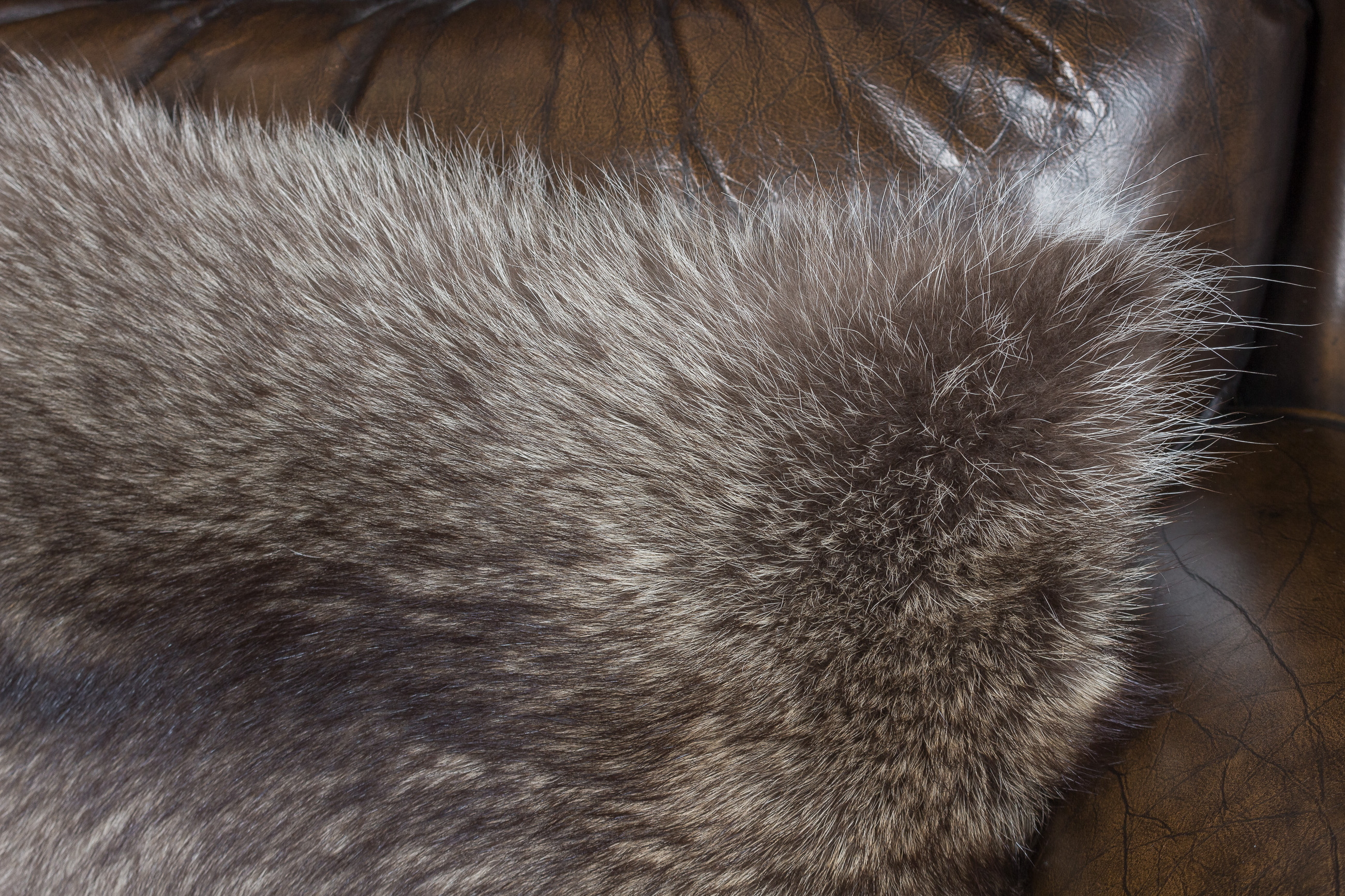 5-1376-Kleines-Waschbaer-Fellkissen-Lars-Paustian Little Raccoon Fur Pillow