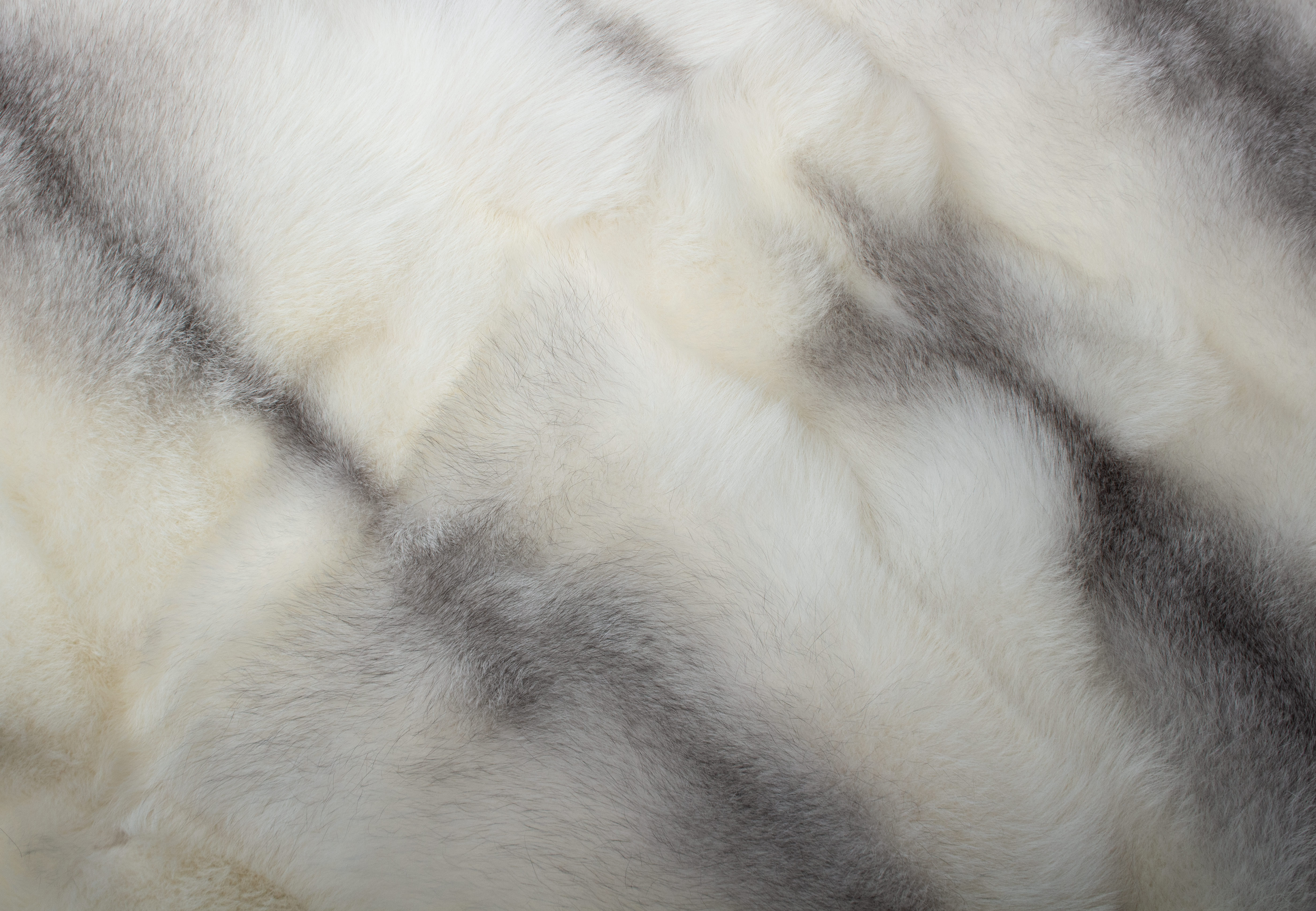 Arctic Marble Frost Fox Fur Rug