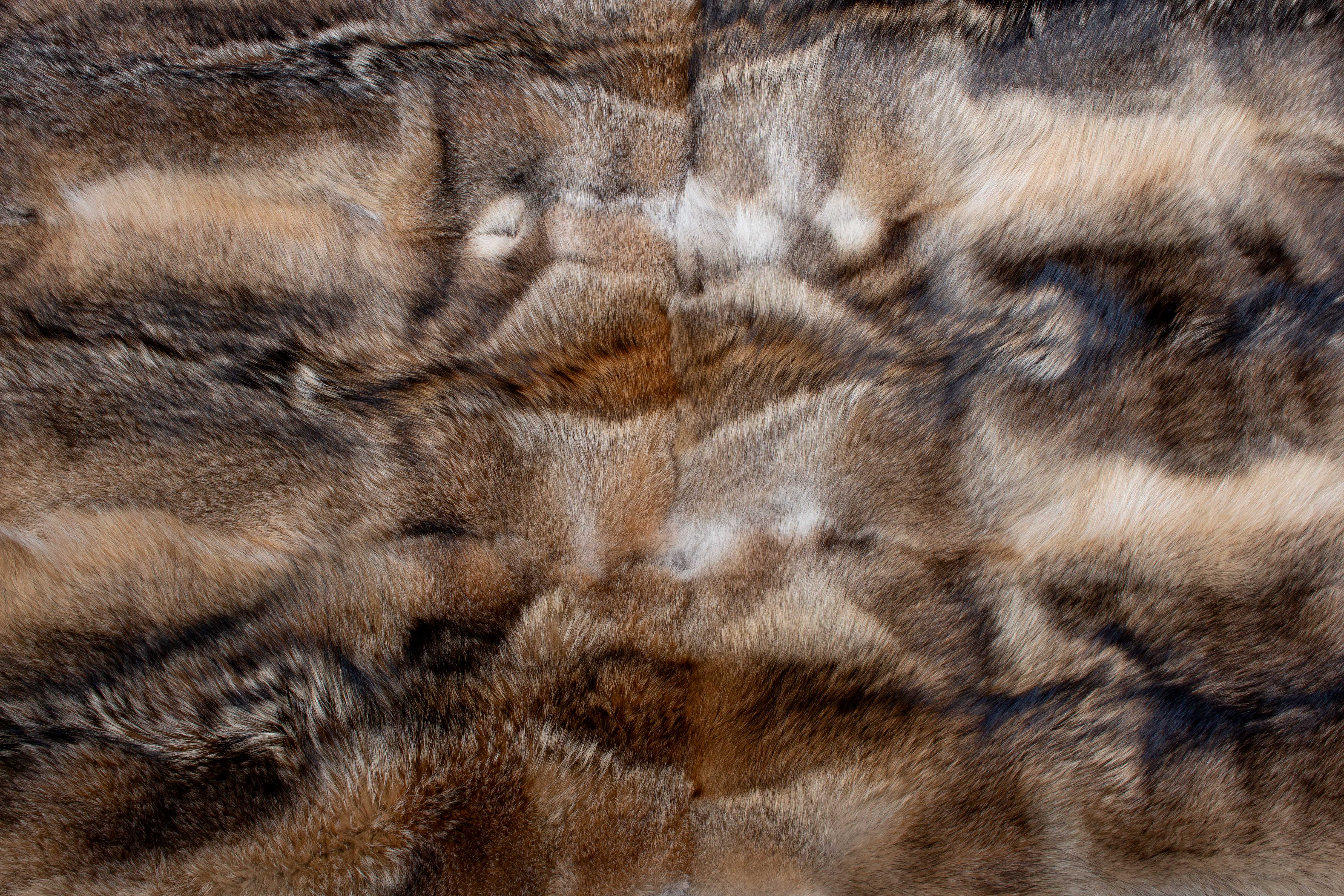 Canadian Coyote Fur Carpet made of Real Fur