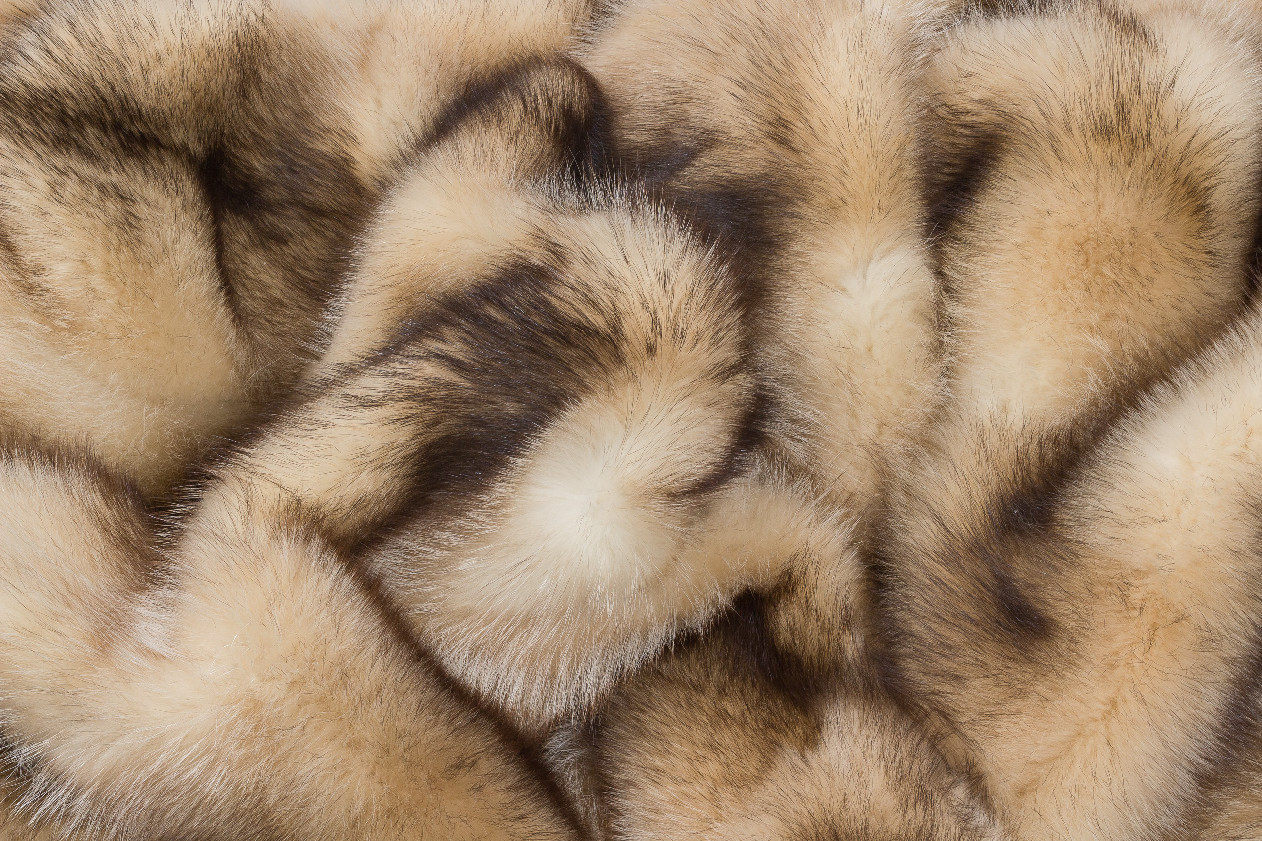 Raccoon Fur Carpet in beige