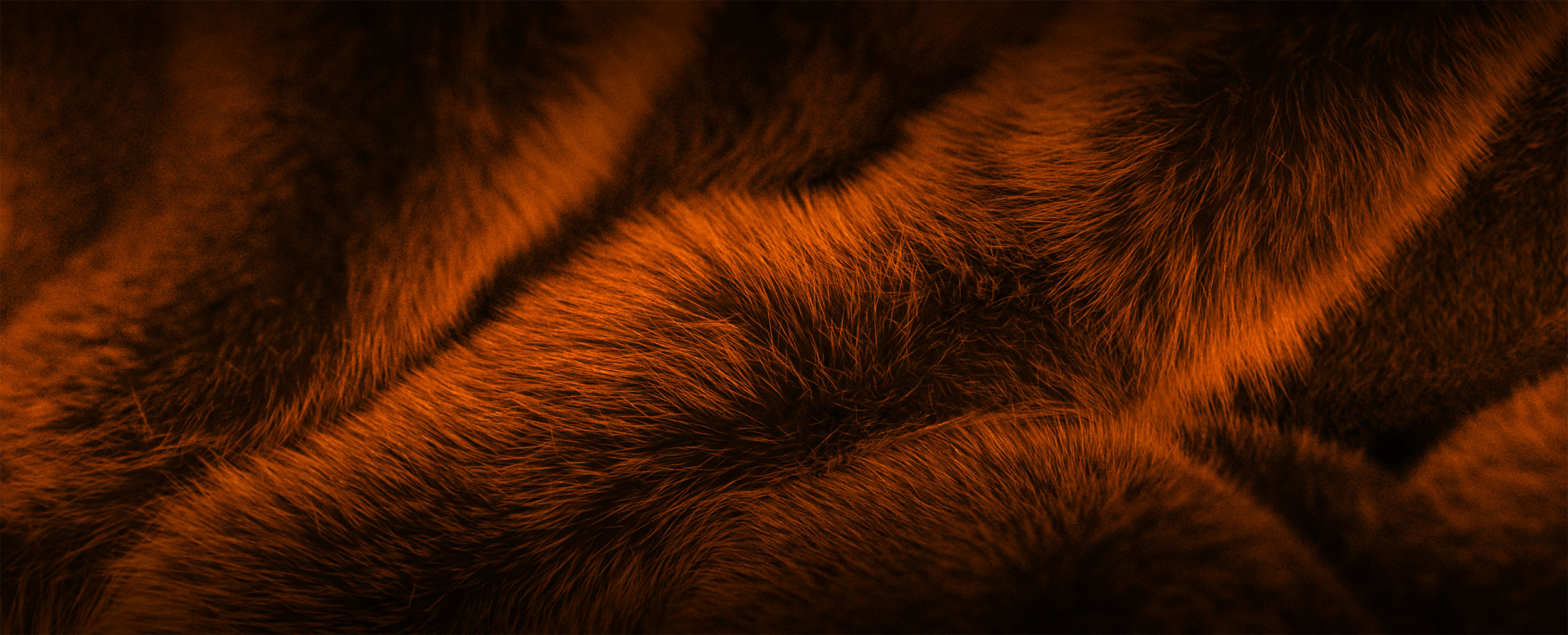 halloween-2025-background