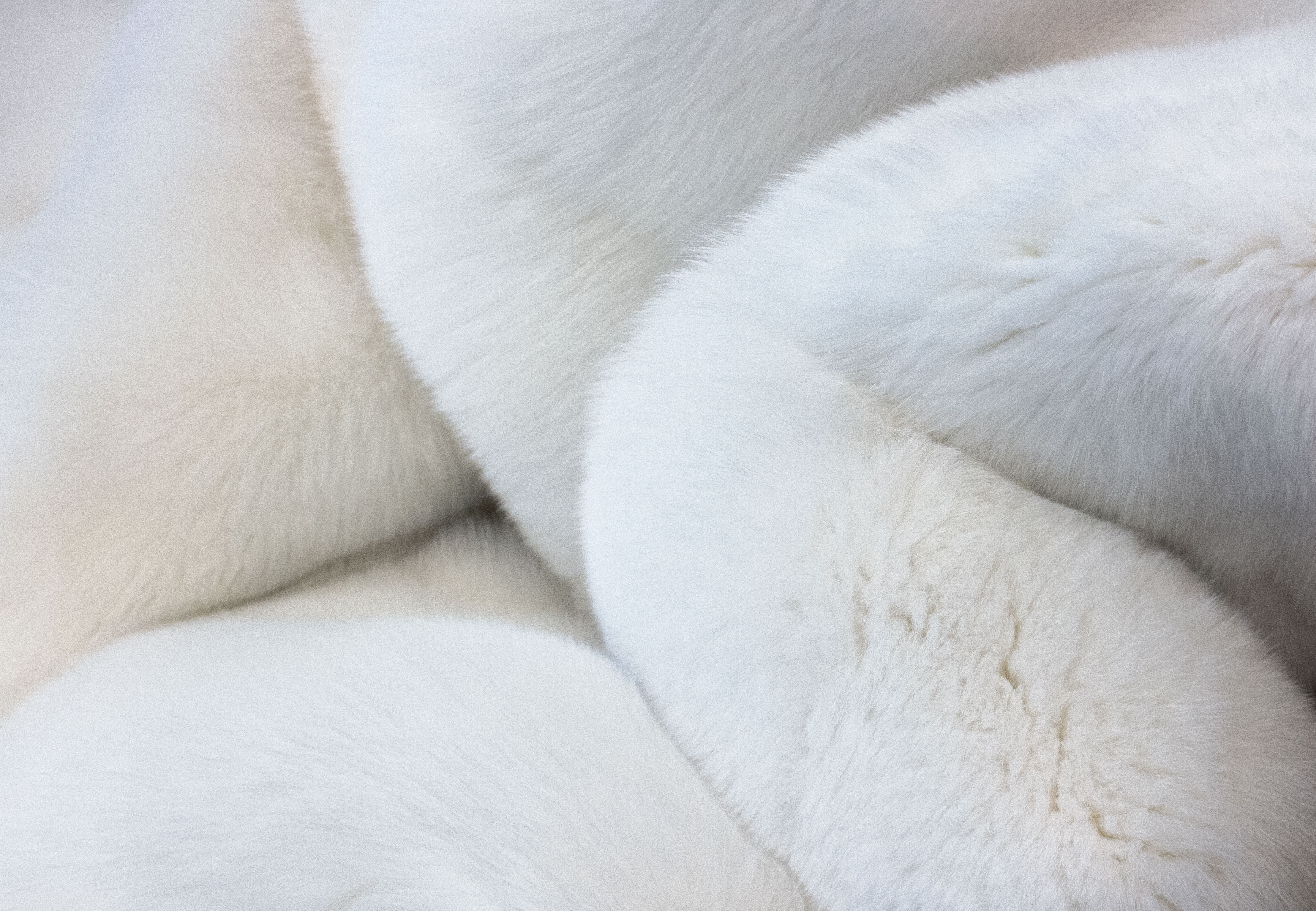 Coyote and Shadow Fox Fur Inlay - Sleeping Bag