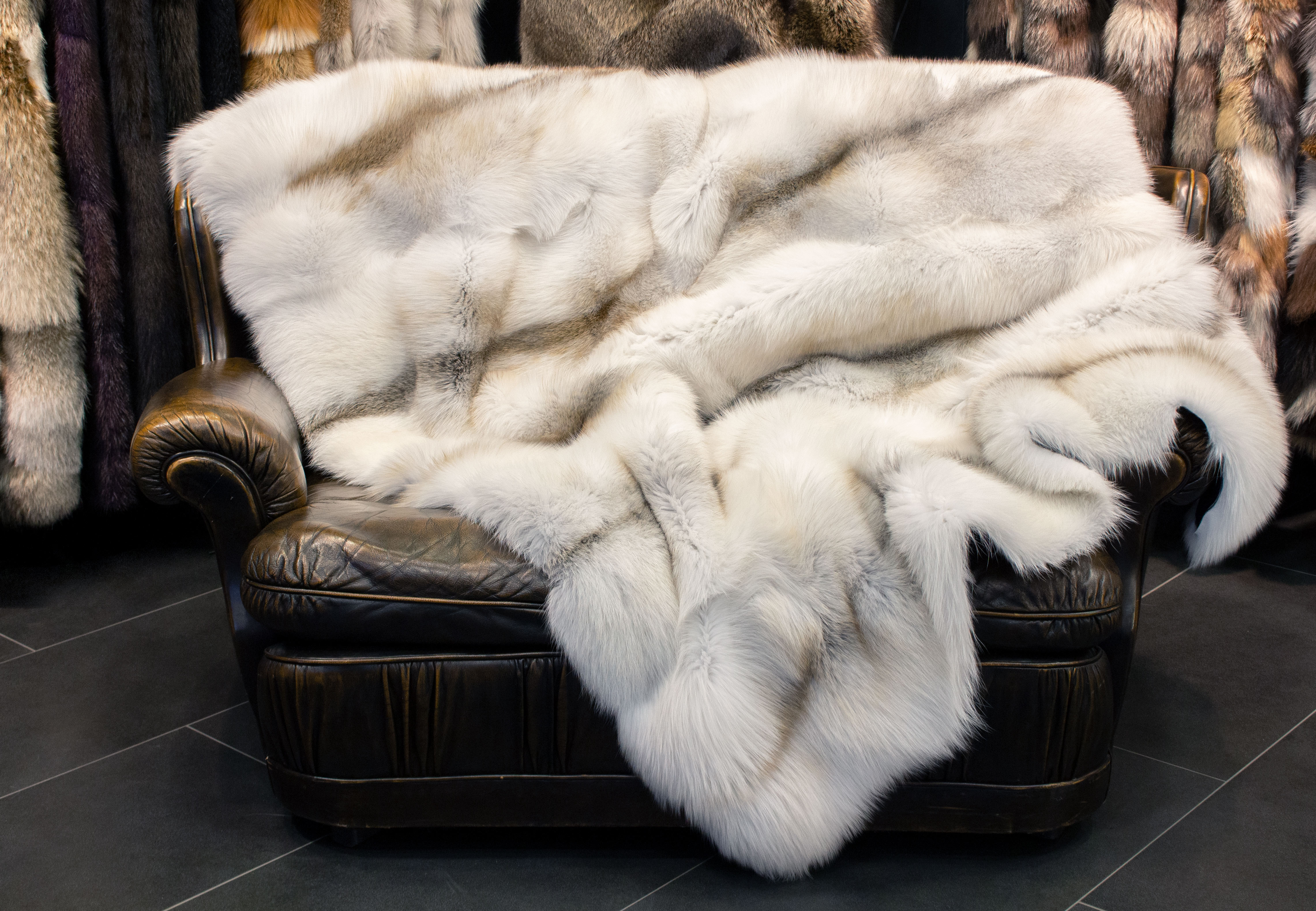 Fur Blanket made of SAGA Arctic Golden Island Foxes