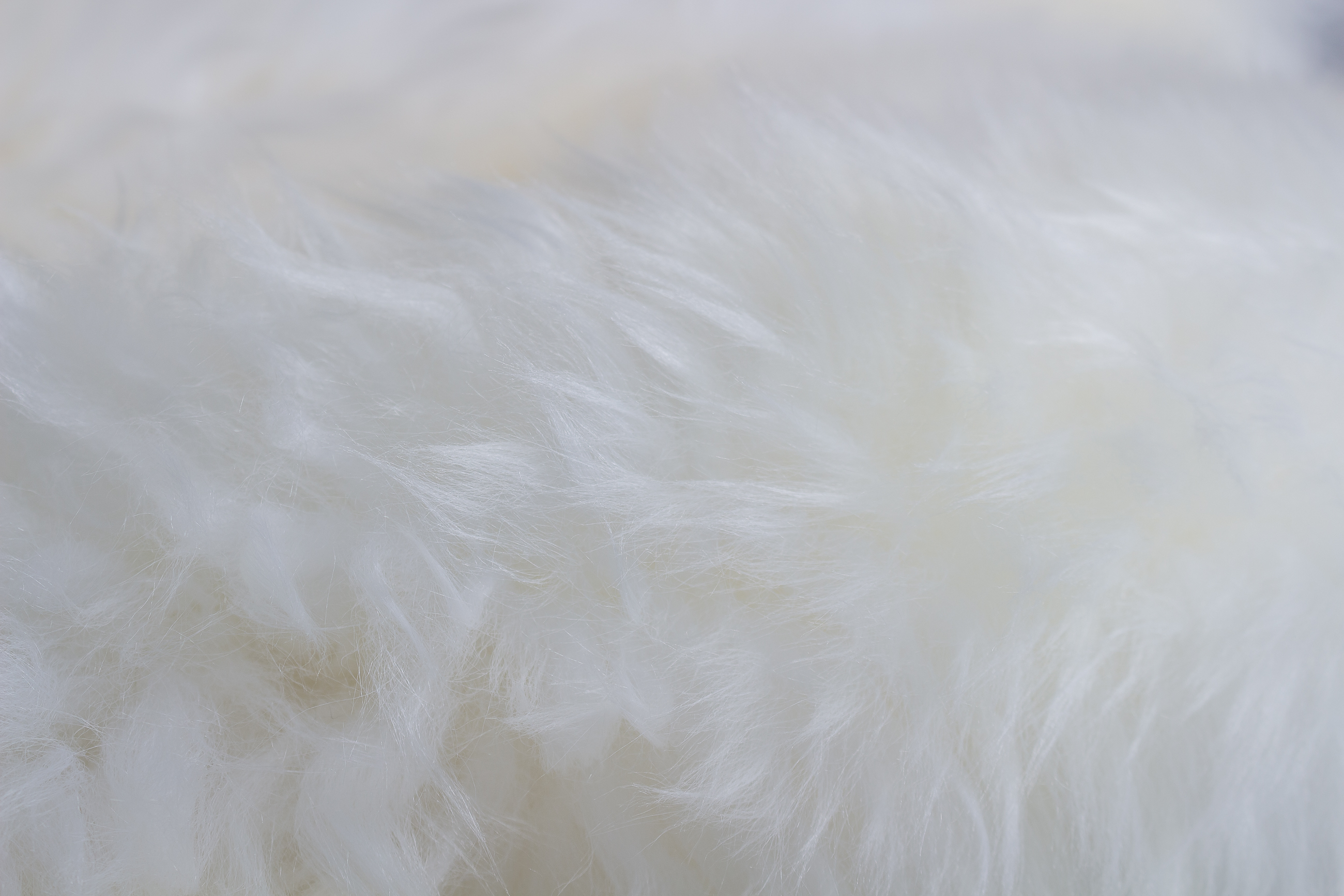 Australian Lamb Blanket - Lamb Fur Carpet in Natural White