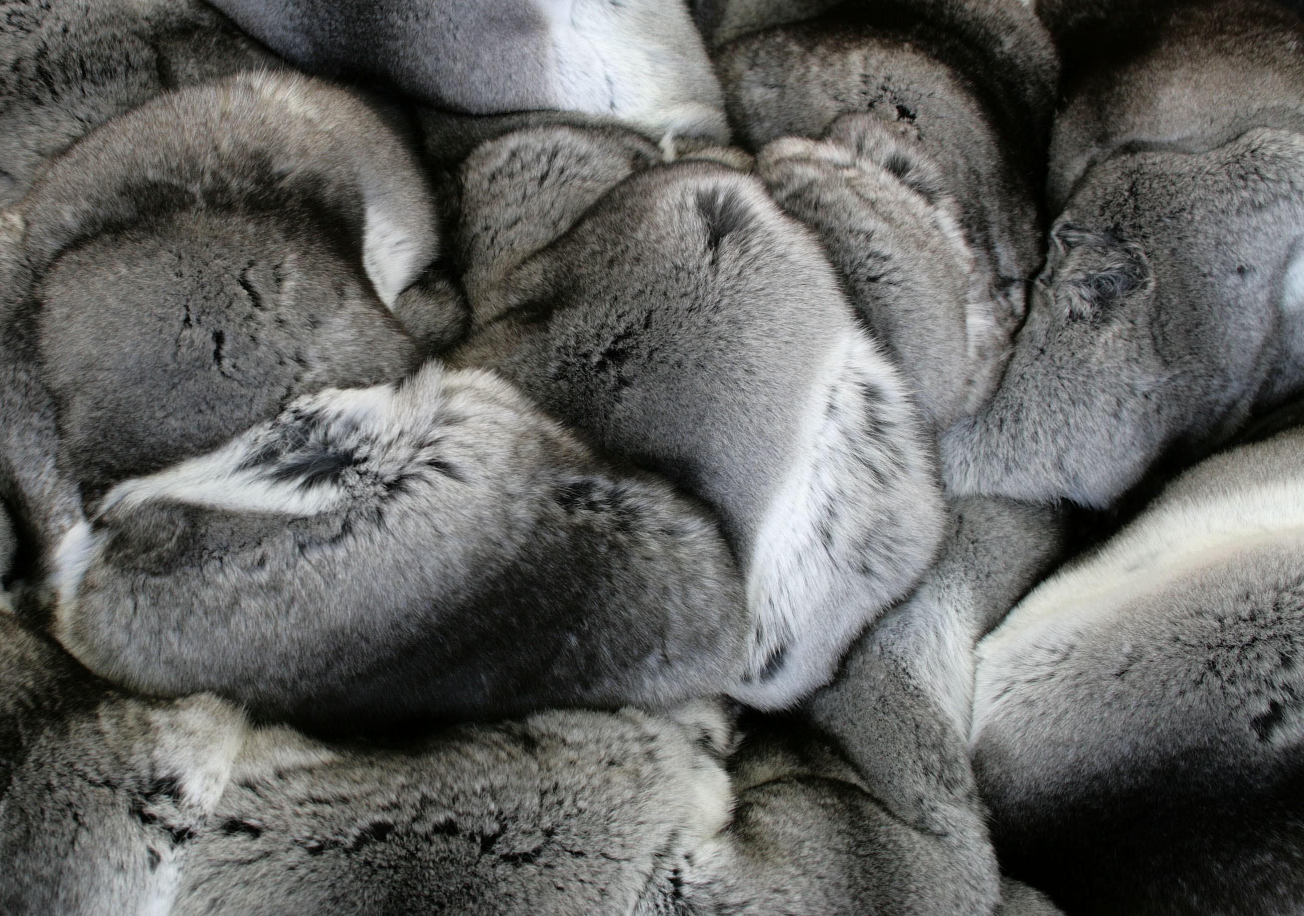 Framed Chinchilla fur blanket - natural furs