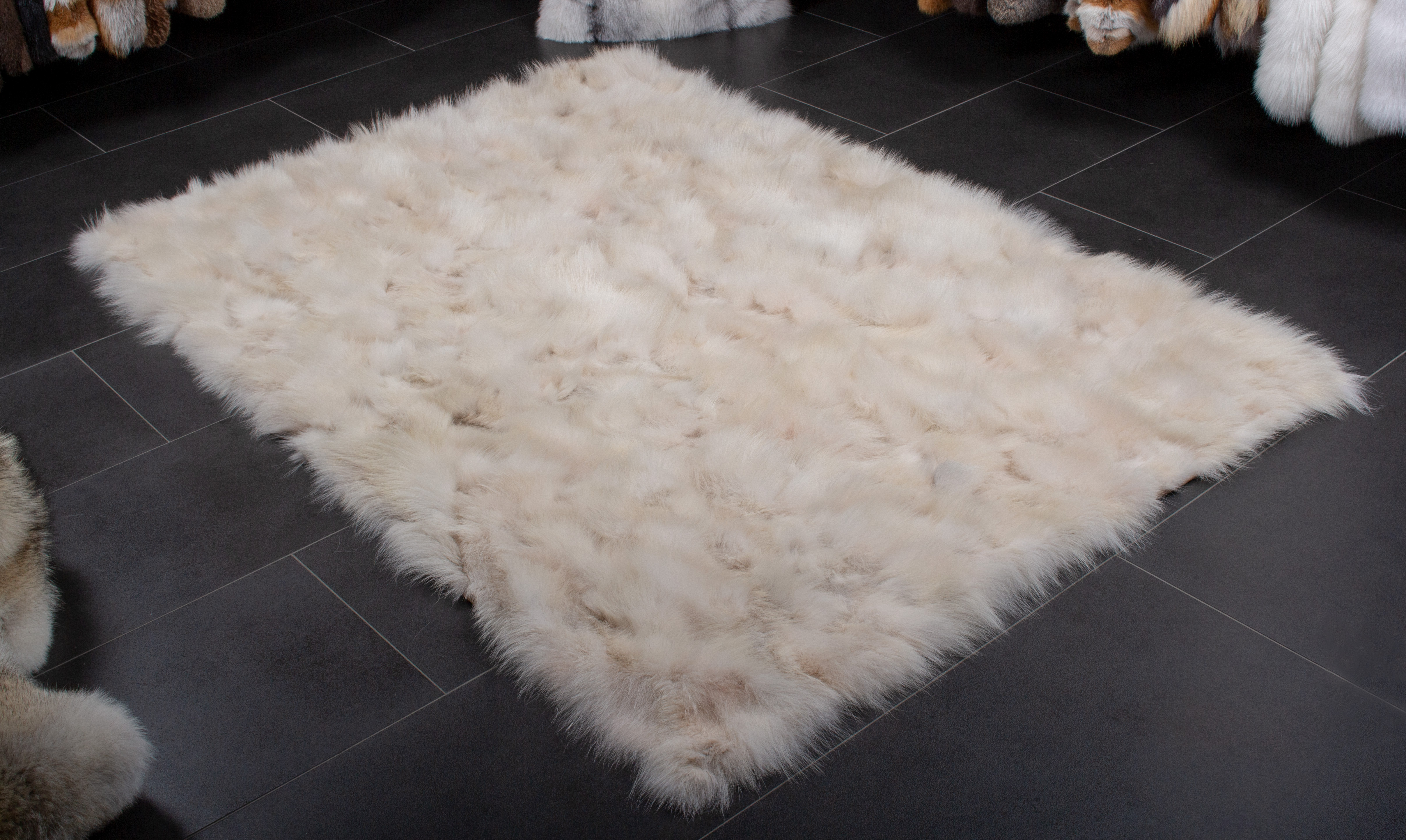 Canadian Coyote Fur Rug