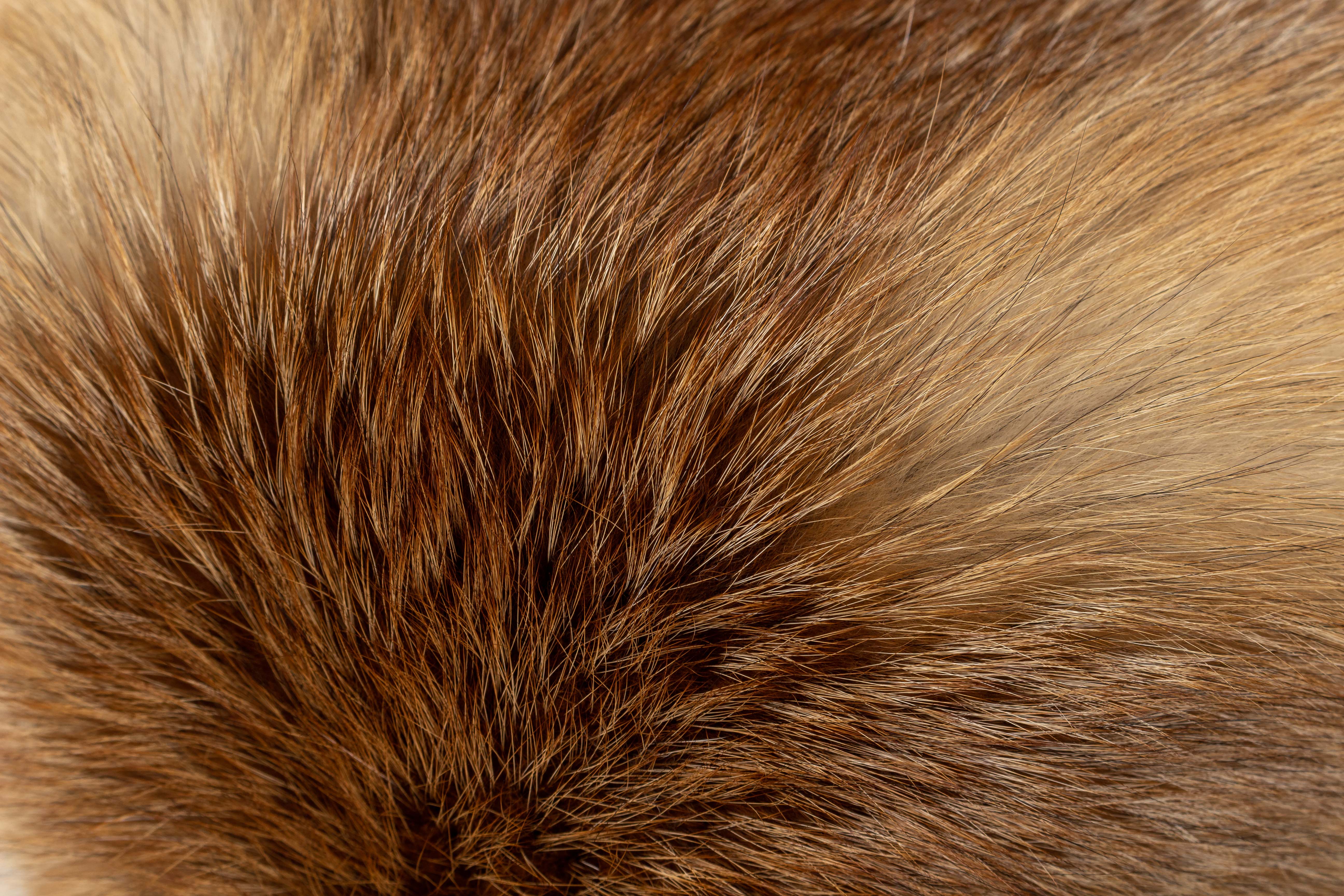 Red Fox Fur Stool with Fox Tail