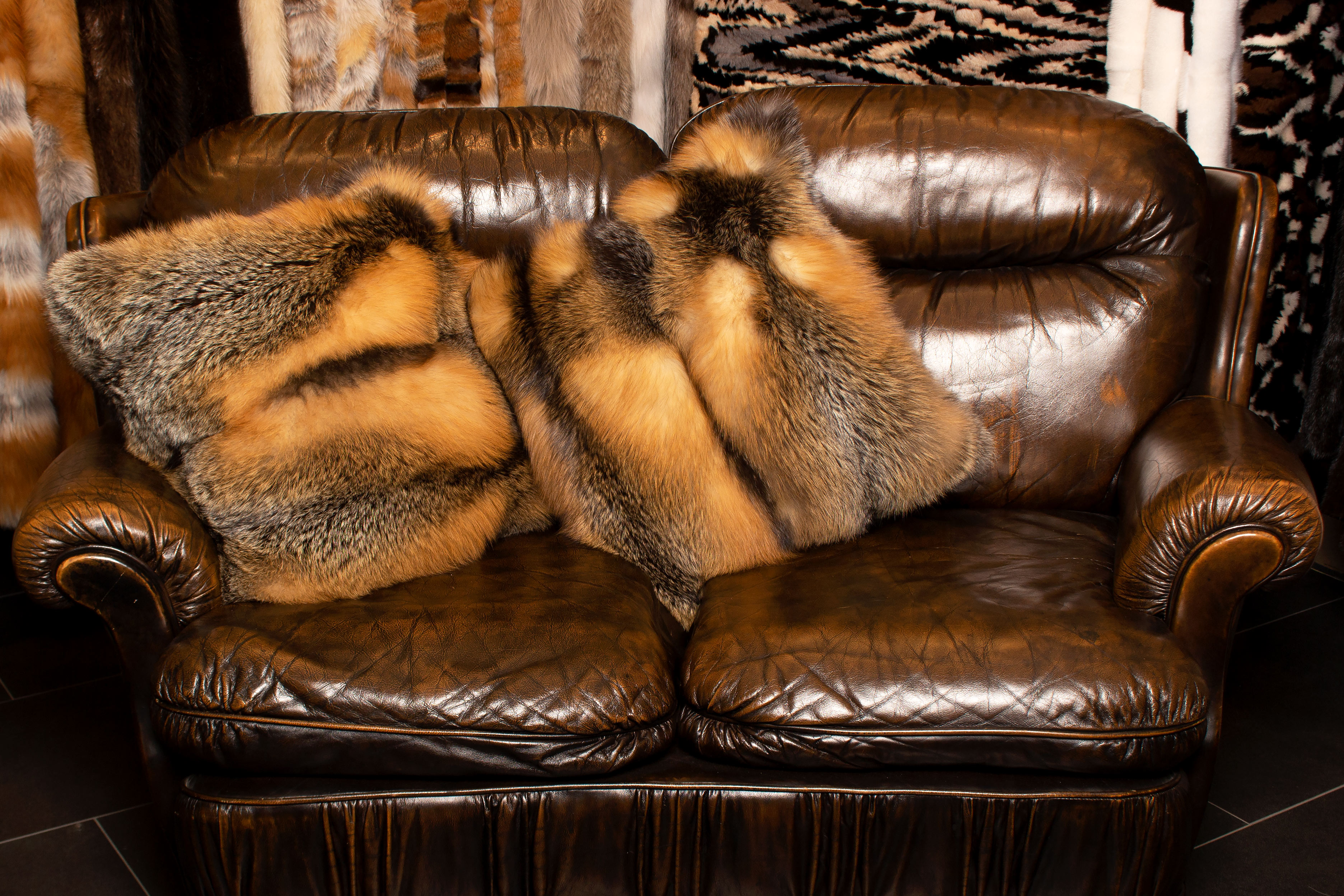 Canadian Wild Cross Fox Cushion