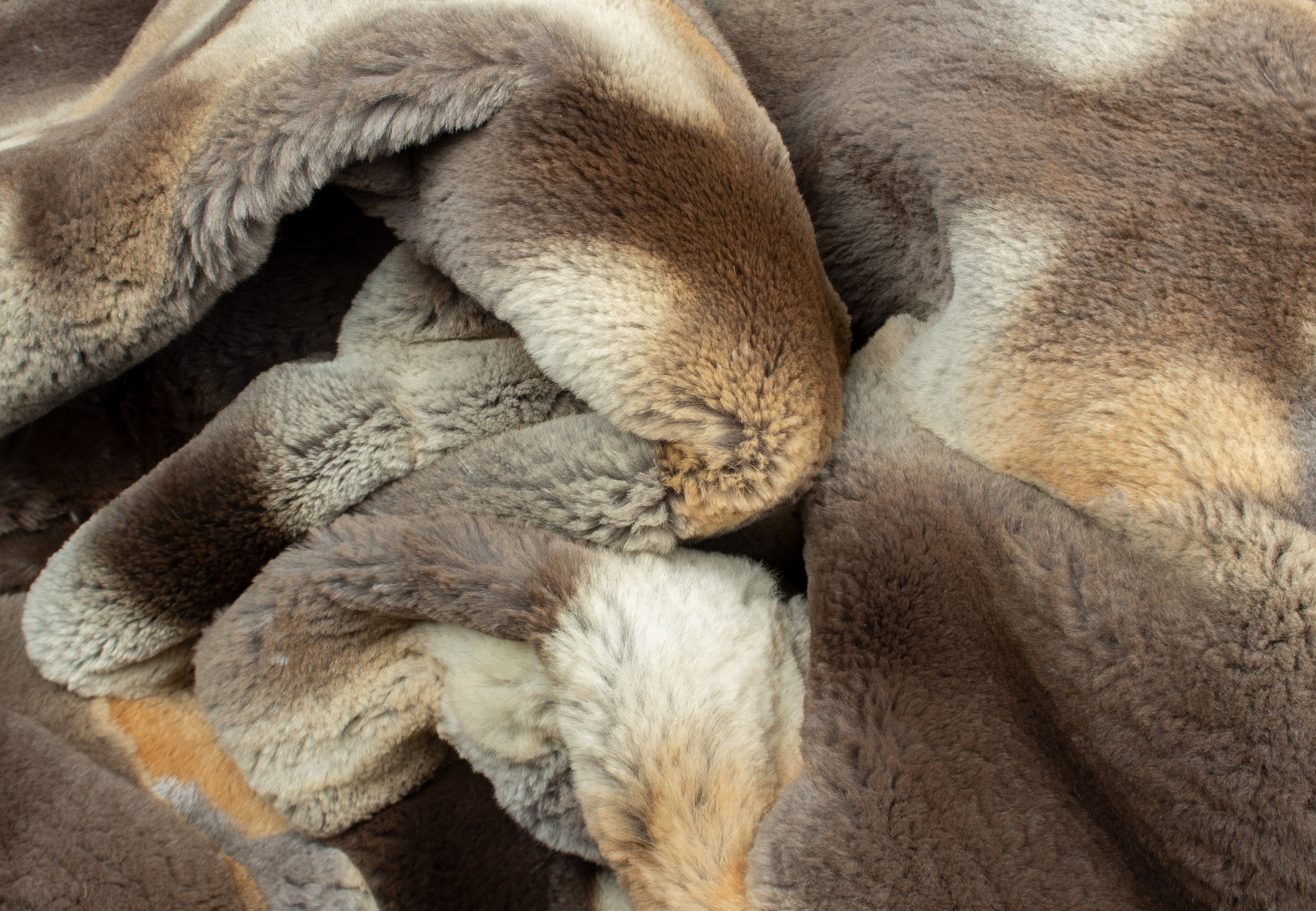 European Red Fox Blanket - Sheared Red Foxes