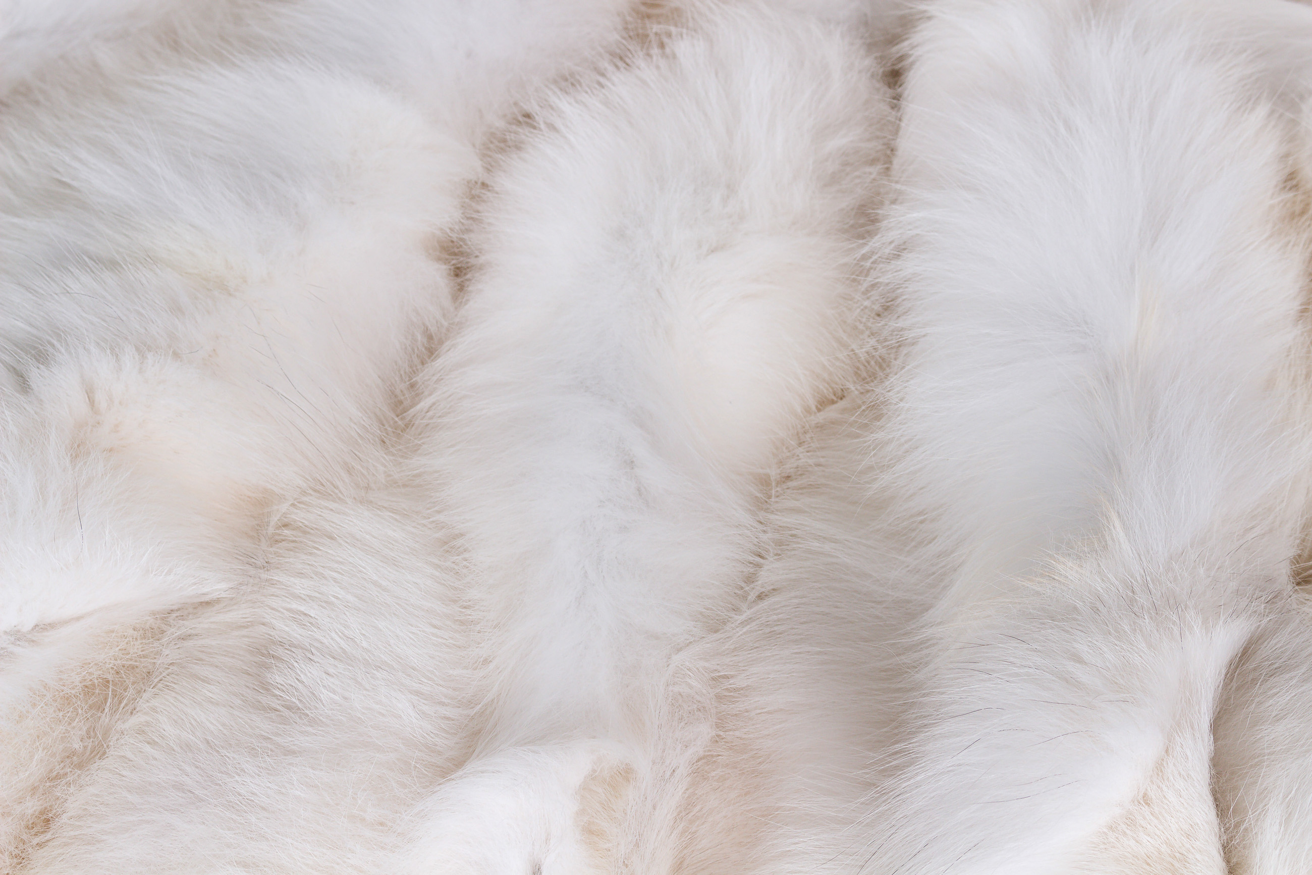 Cuddly Fox-Sides Fur Blanket - white