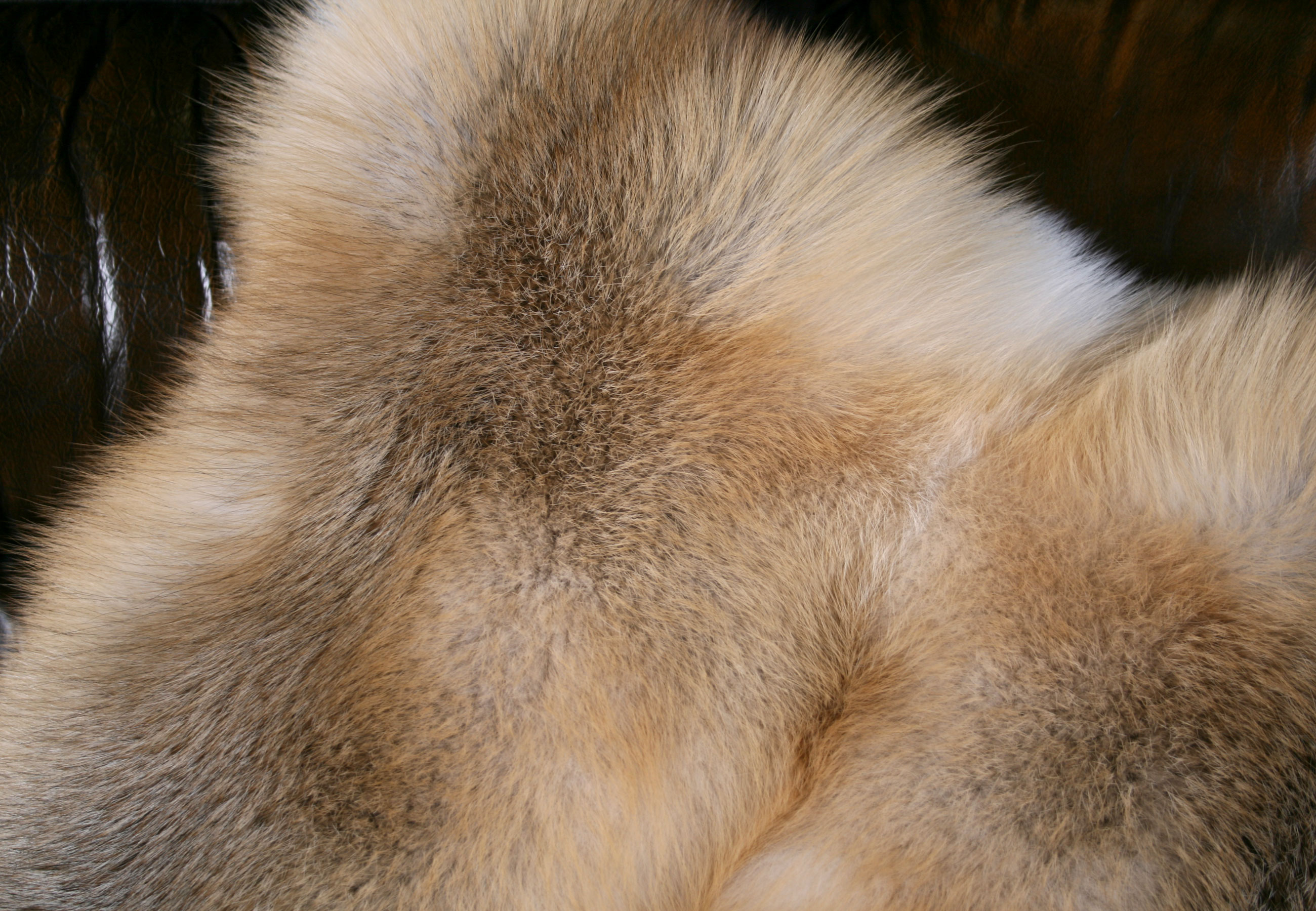 Golden Island fox fur pillow (SAGA Fur)