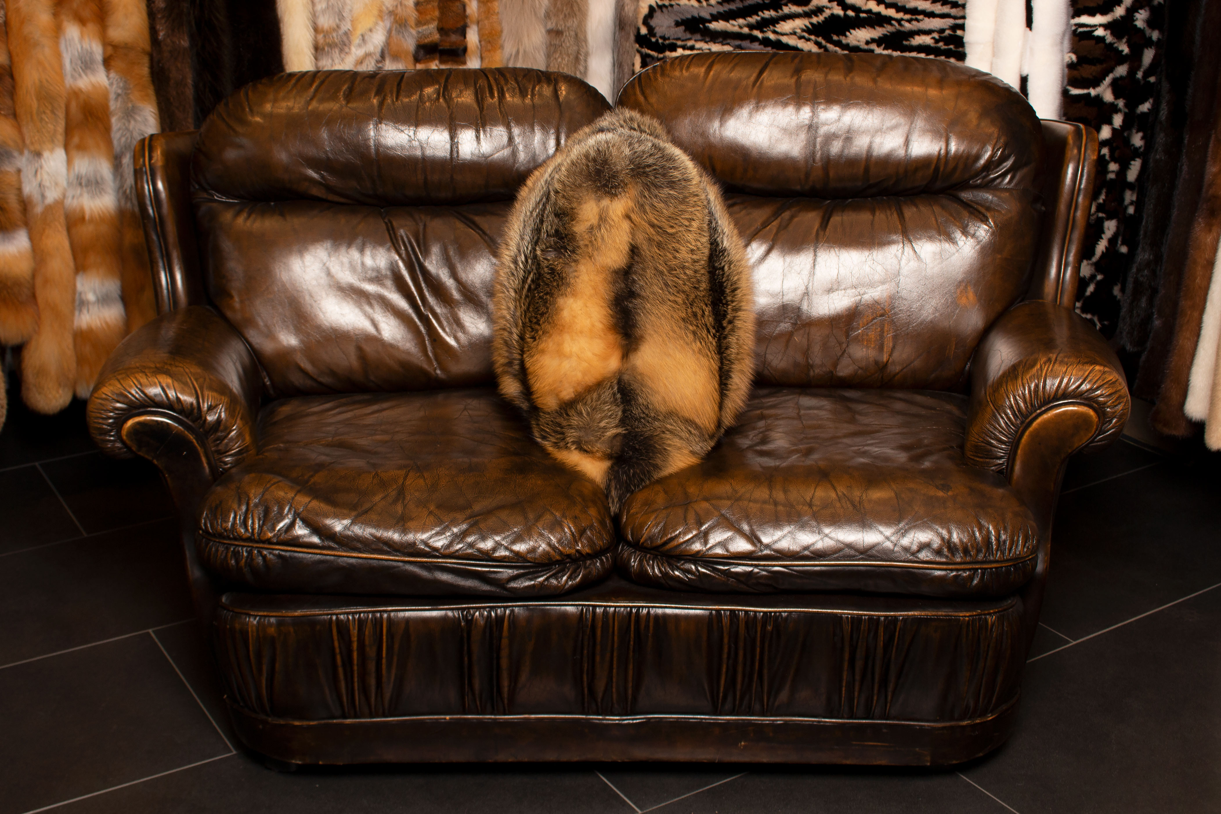 Canadian Wild Cross Fox Cushion