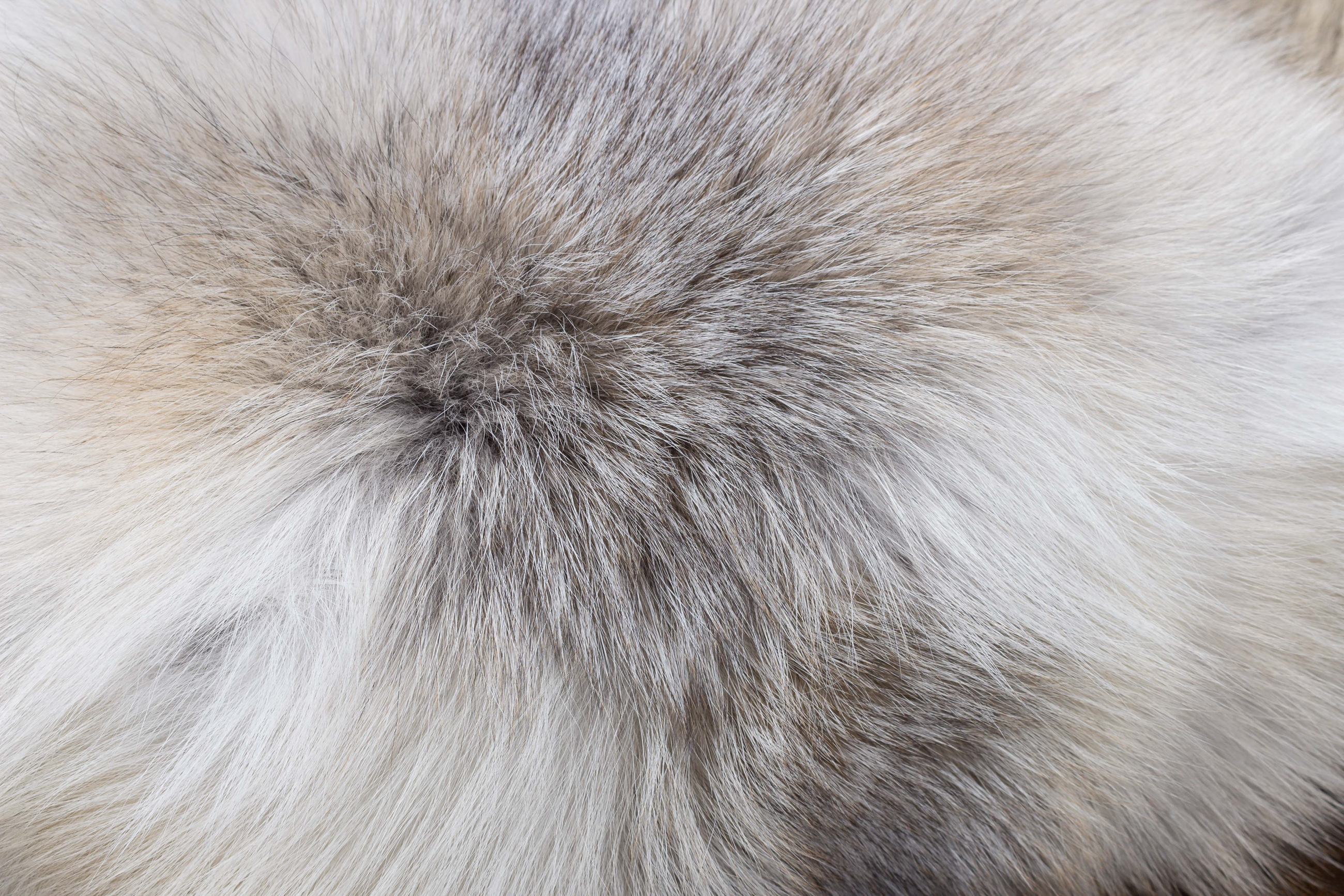 Fawnlight Fox Fur Pillow Single-sided fur