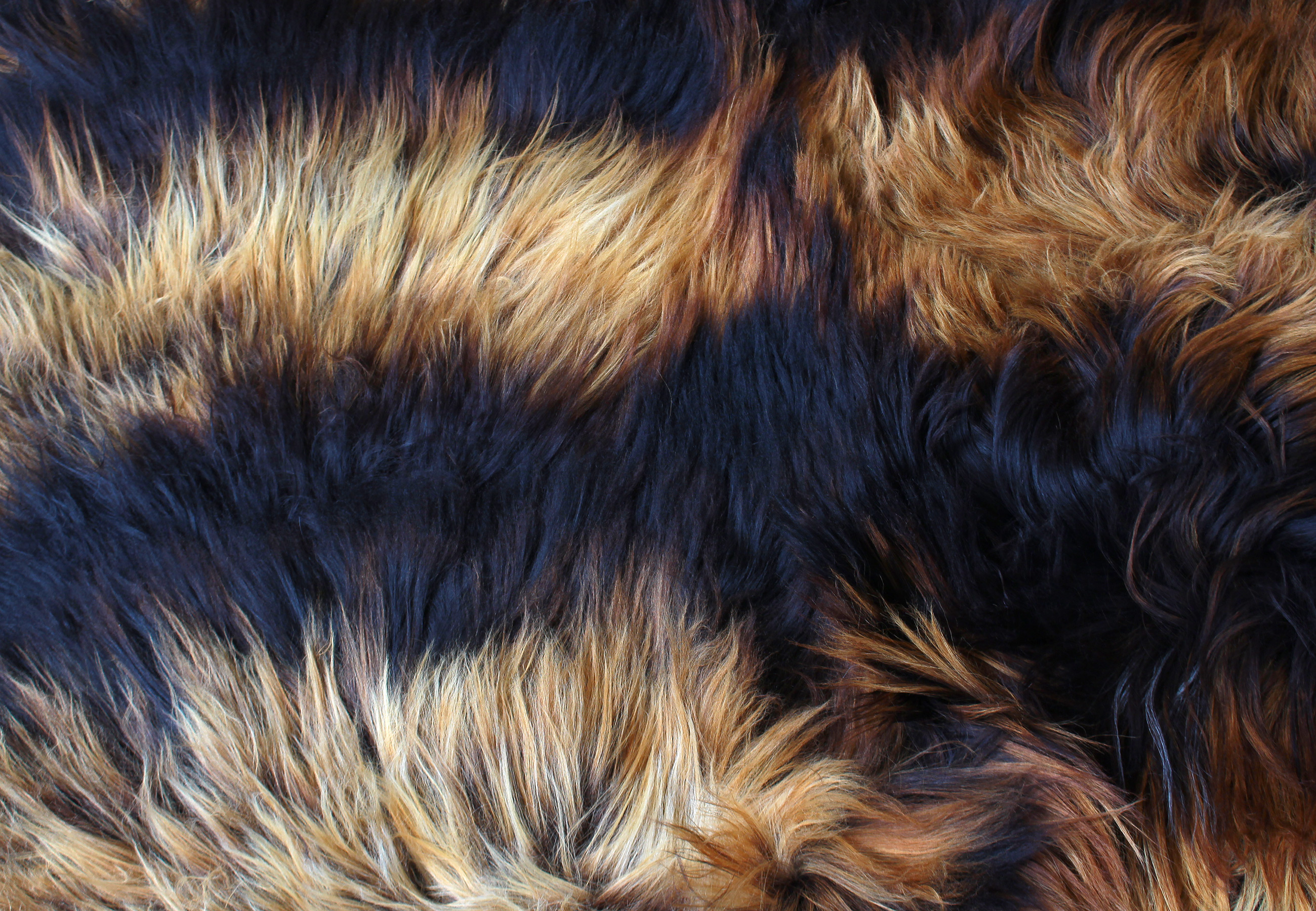 Special Nordic Lamb Fur Carpet in Black Beige