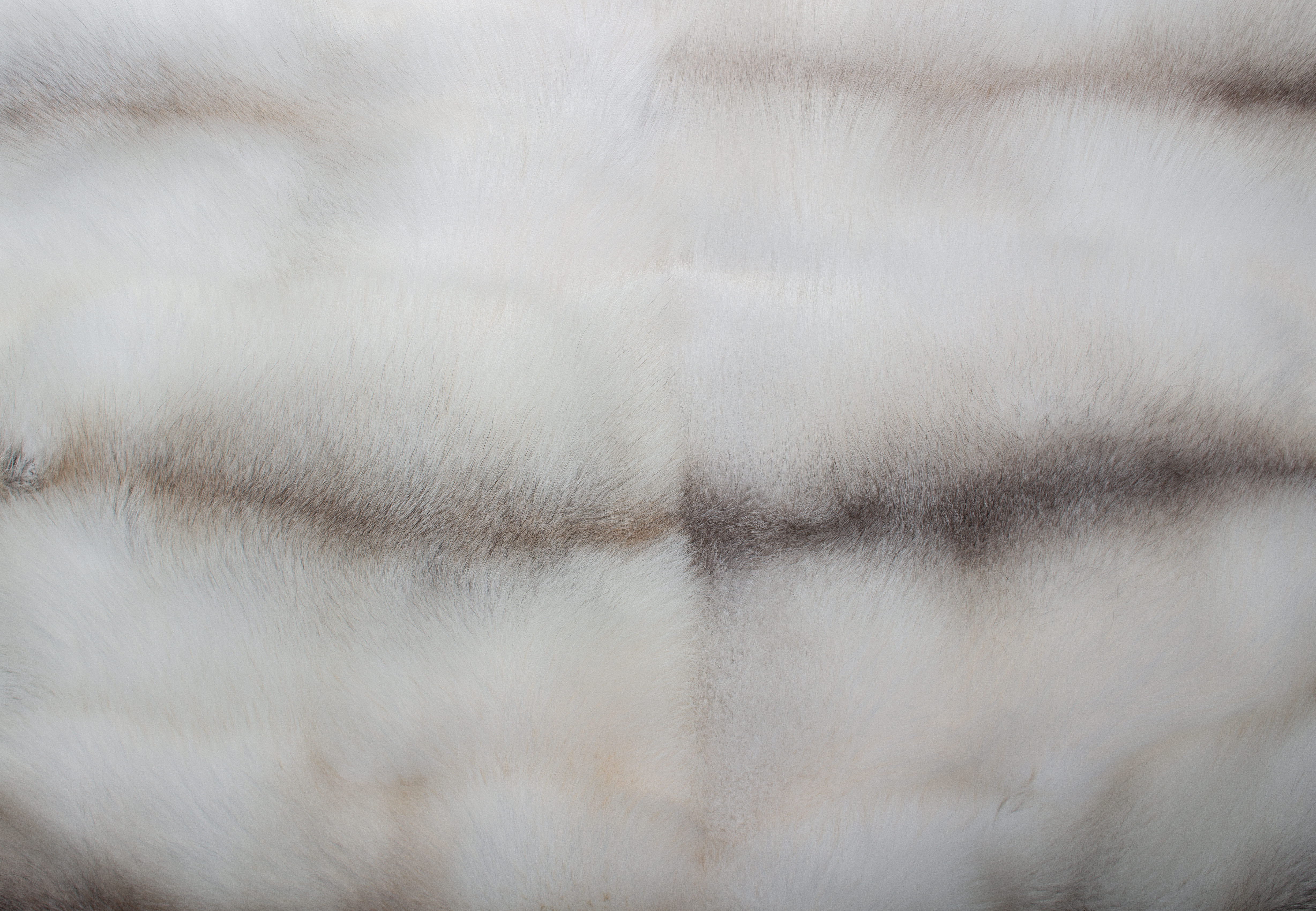 Fawnlight Fox Fur Rug (SAGA Fur)