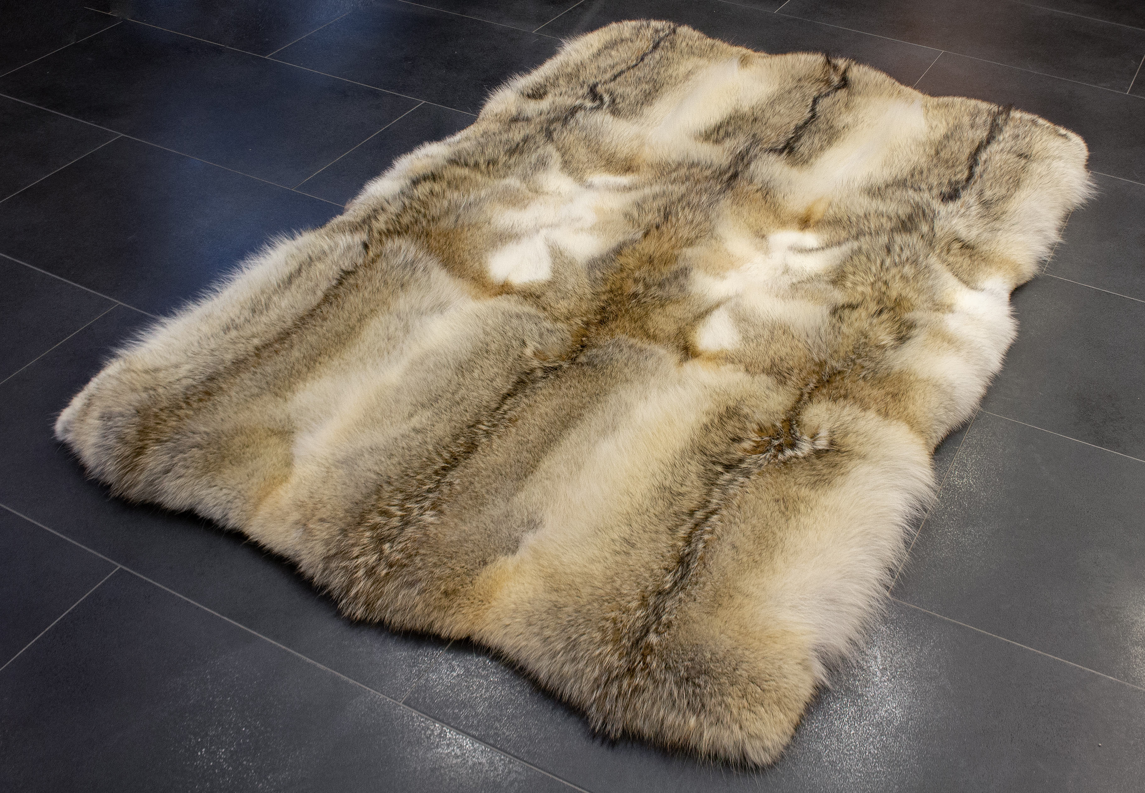Genuine Fur Carpet made of Canadian Coyotes