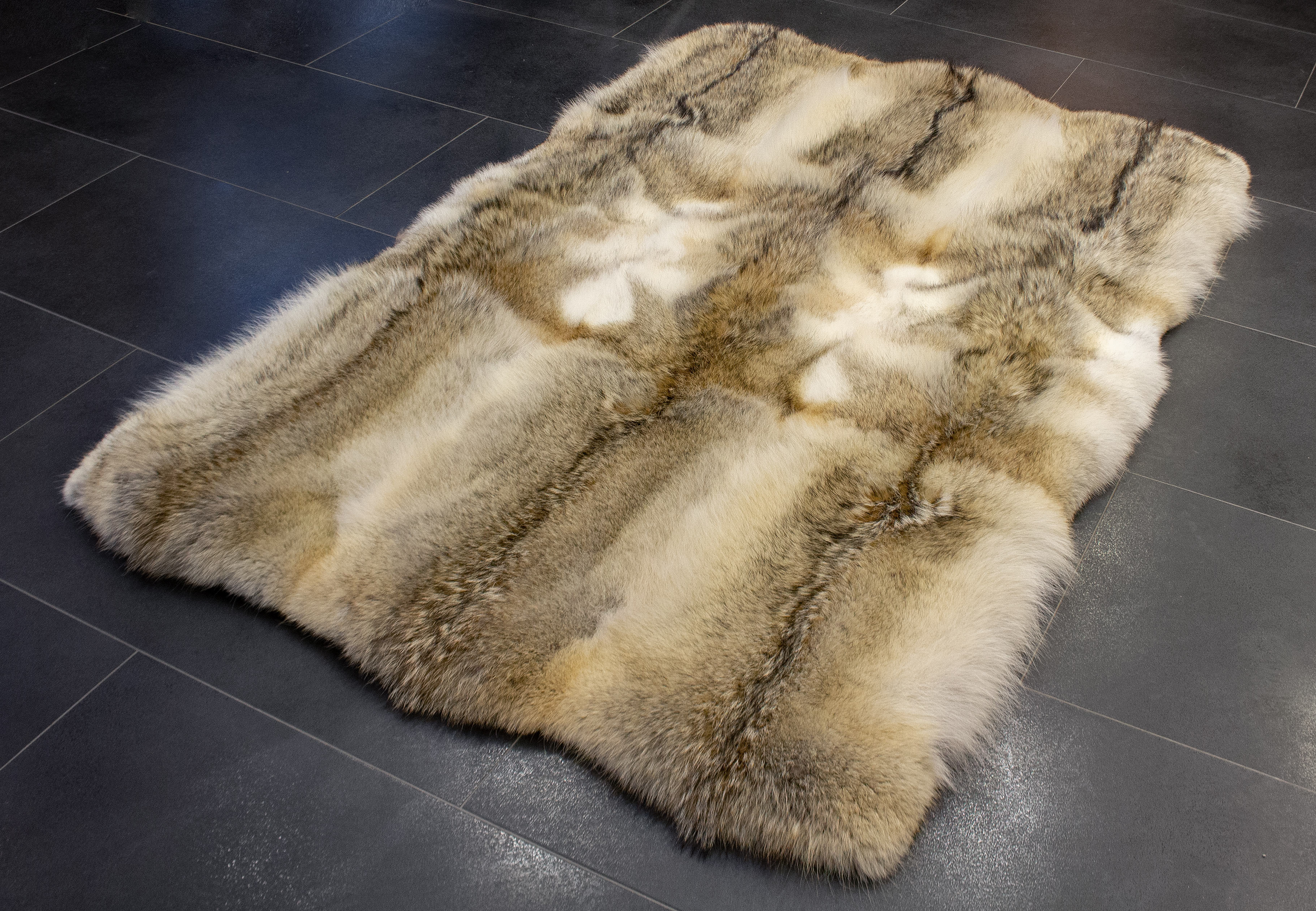 3-4904-Fellteppich-Kanadische-Kojotenfelle-Echtfell Genuine Fur Carpet made of Canadian Coyotes