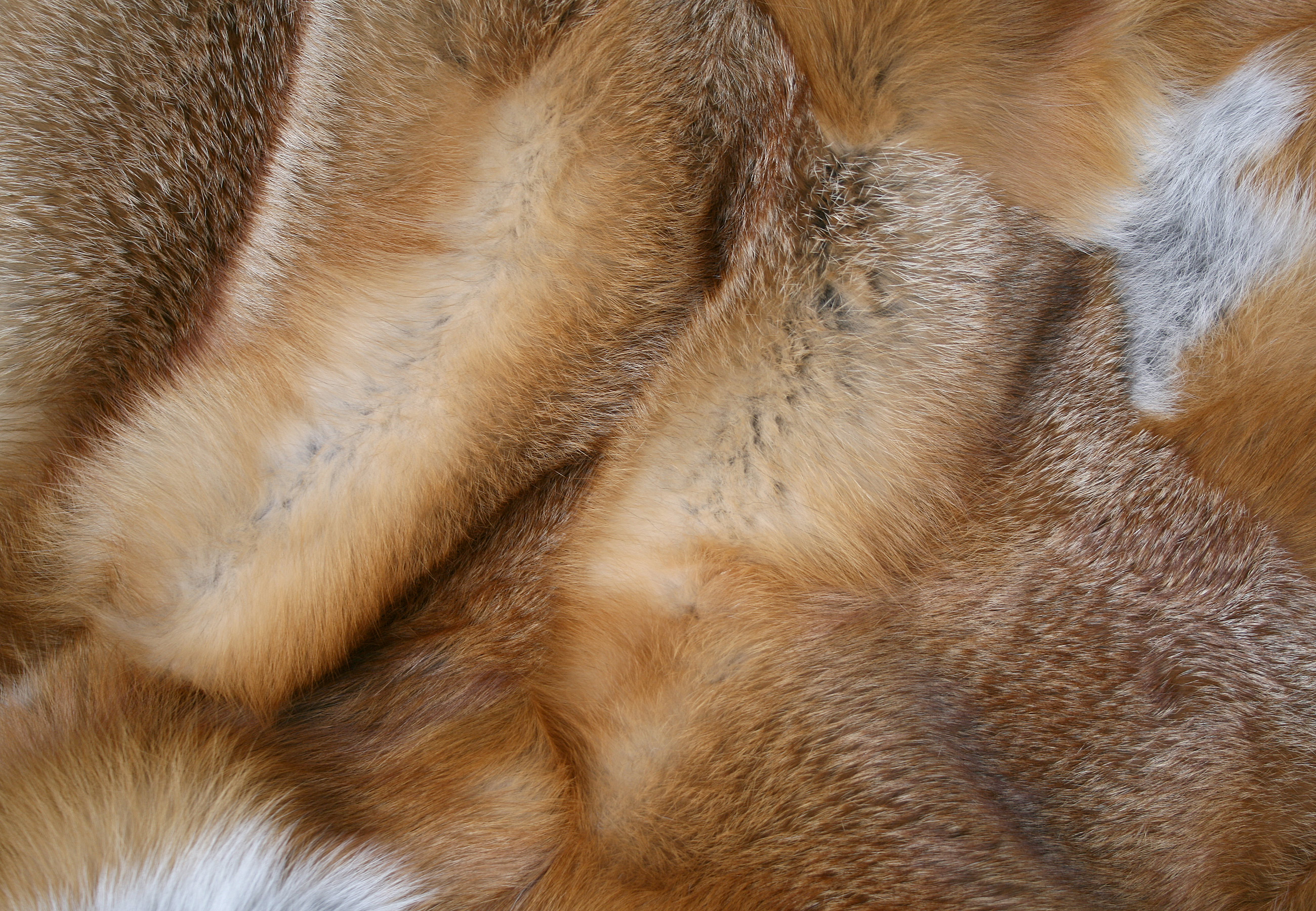 Canadian Red Fox fur blanket natural (Fur Harvesters)