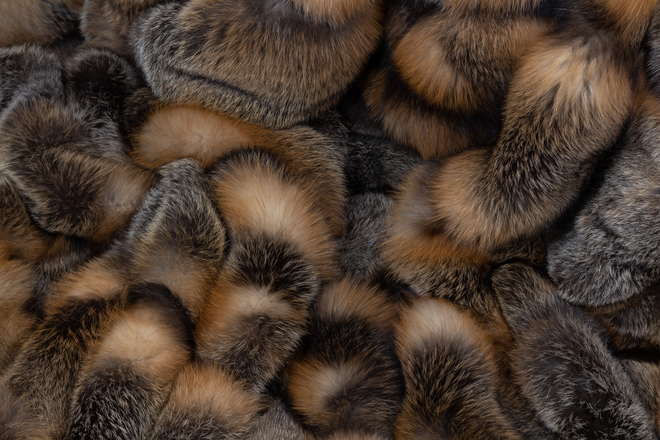 7-1879-Kanadische-Wild-Cross-Fuchs-Felldecke-Echtpelz-Lars-Paustian Large Canadian Wild Cross Fox Throw