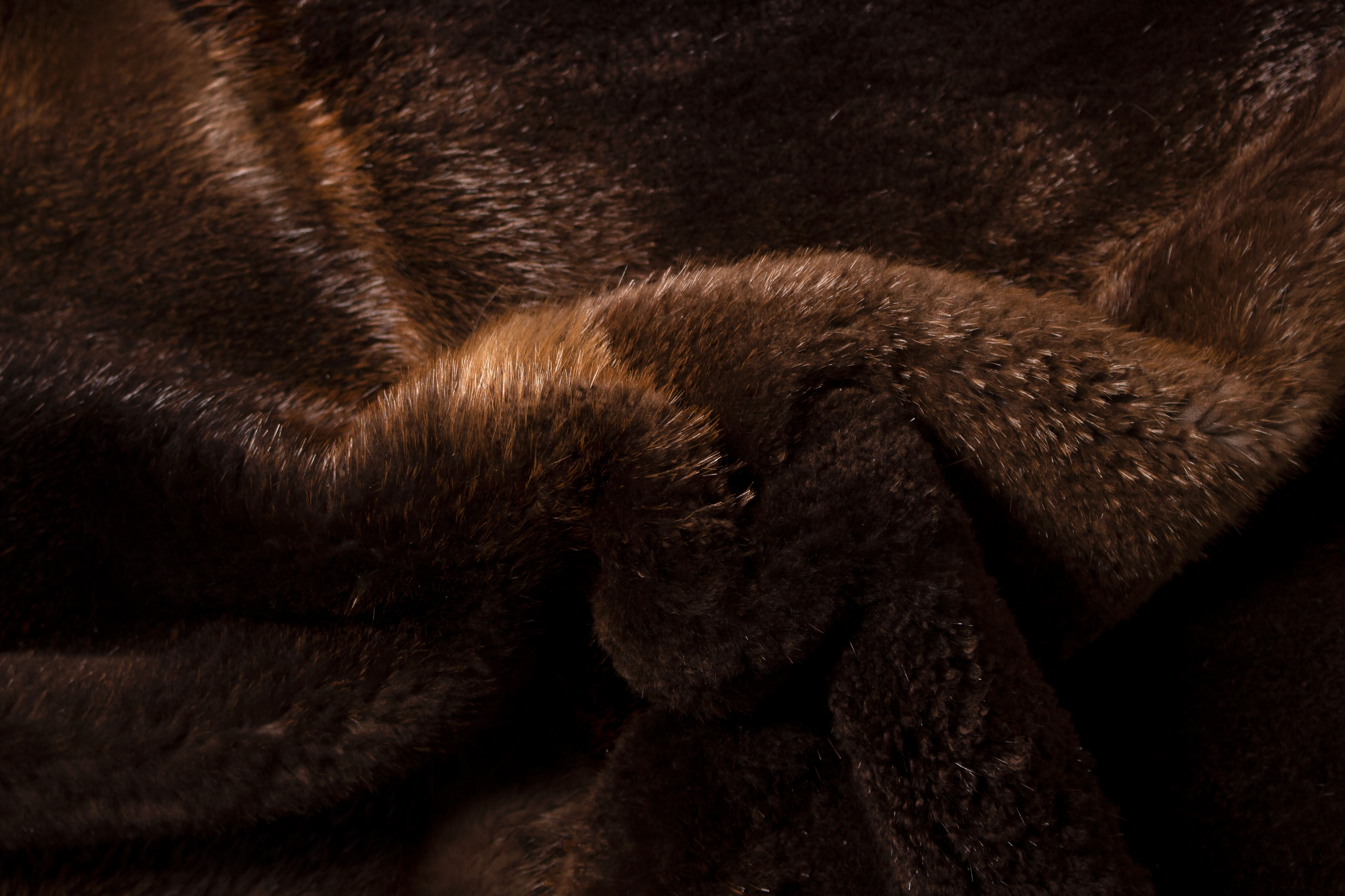 Beaver Fur Carpet for the Living Room