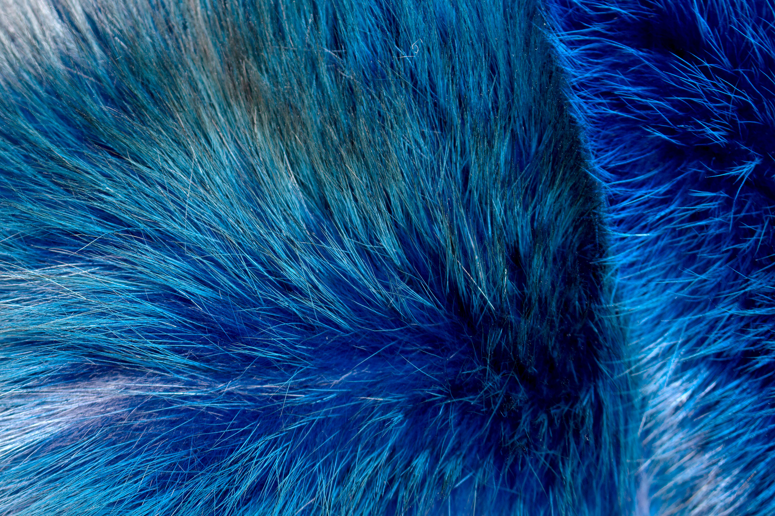 Fluffy Real Fur Red Fox Blanket in Ocean Blue