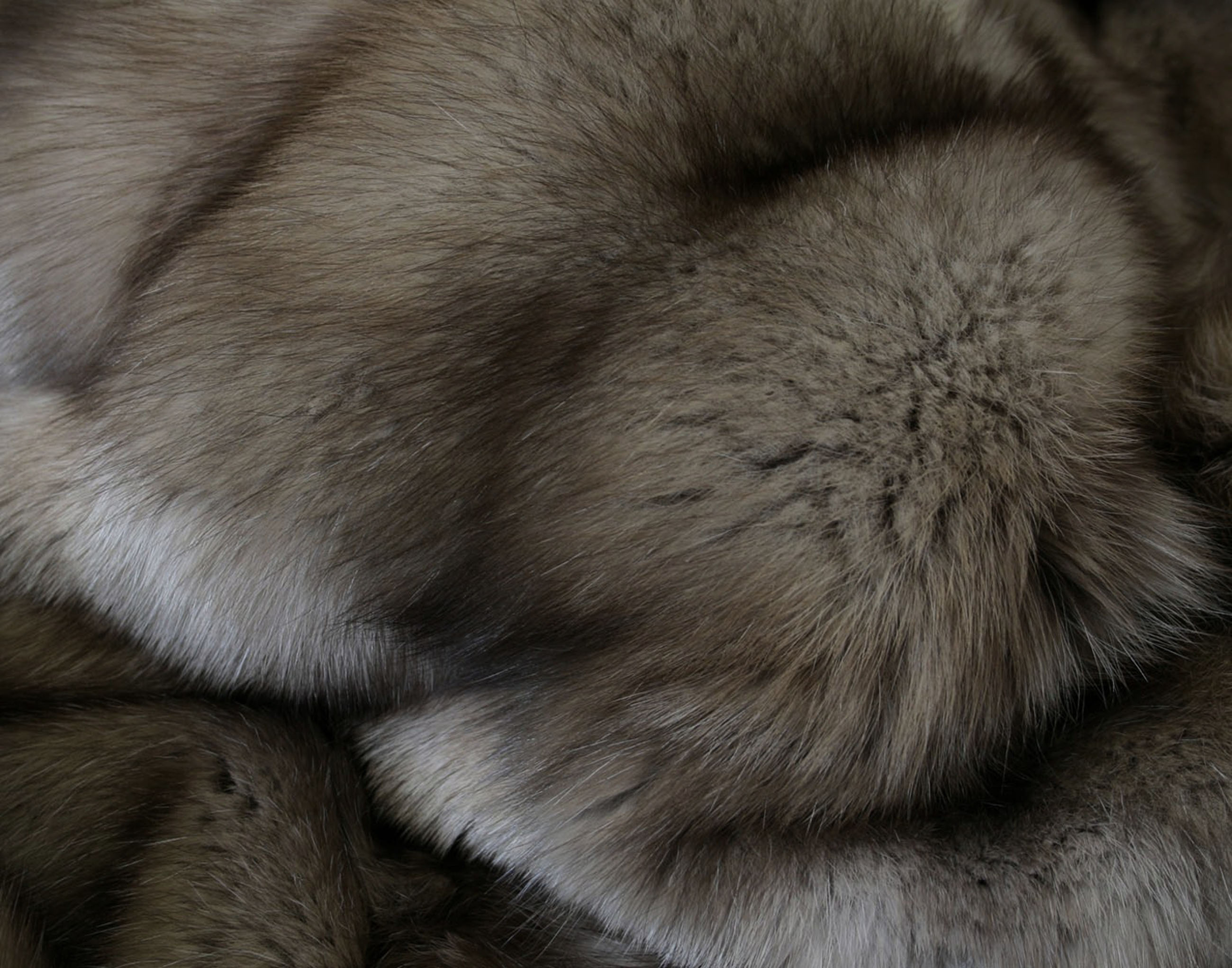 Sable Fur Blanket - Russian Bargusin Sable