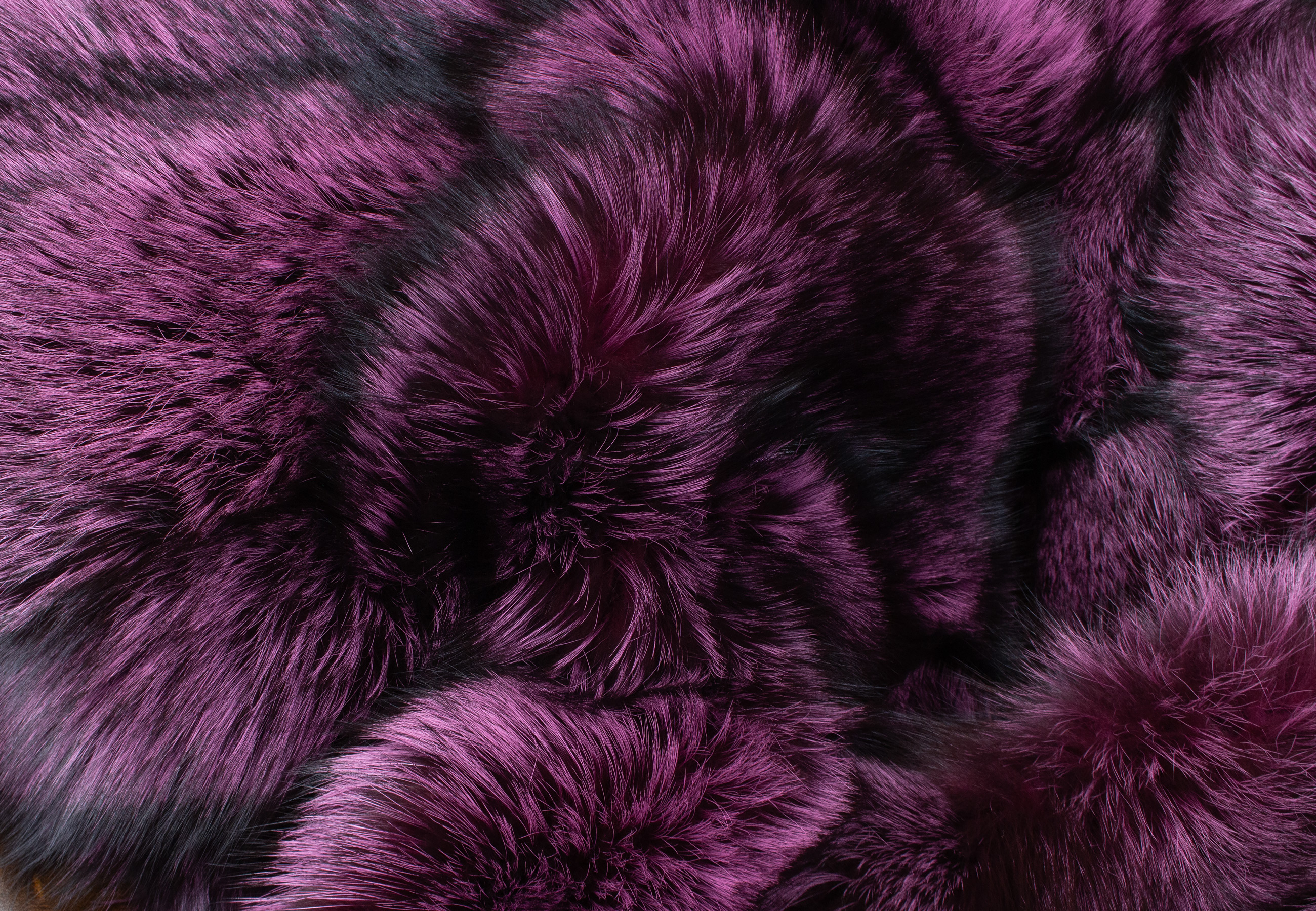 Cuddly Fur Blanket made with Silver Foxes in Purple