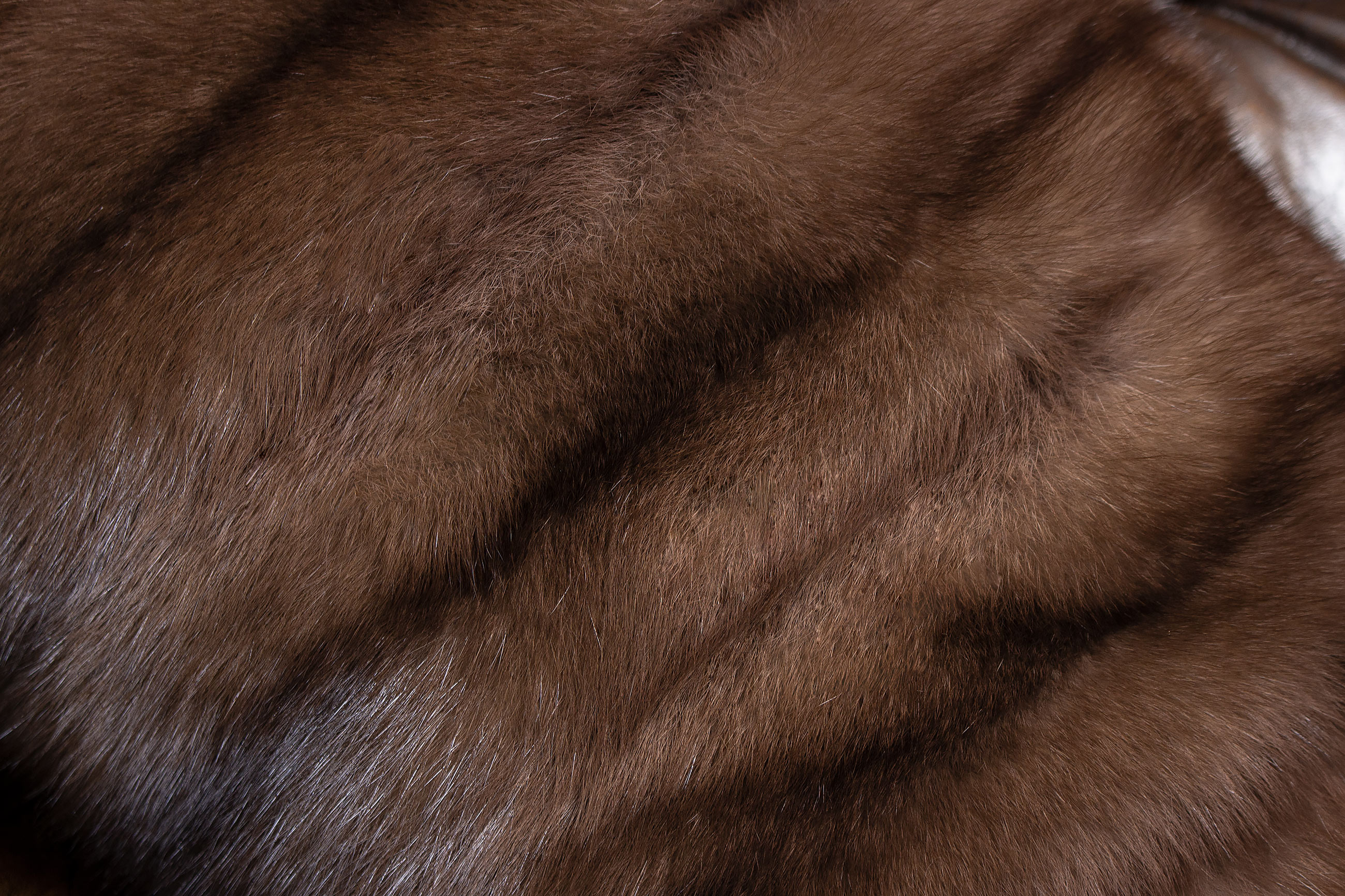 Genuine Sable Fur Cushion