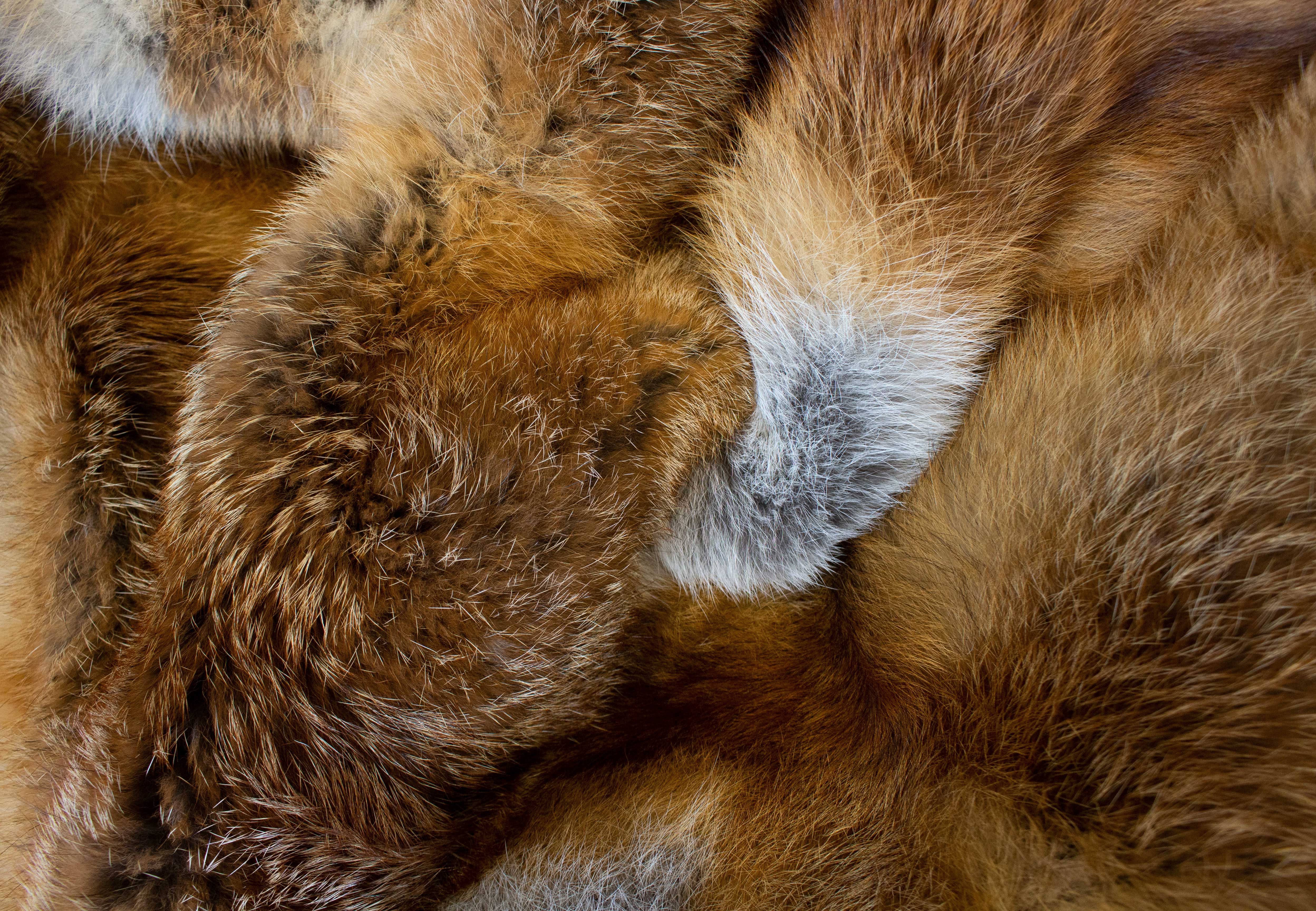 Fur Plaid made of European Red Foxes