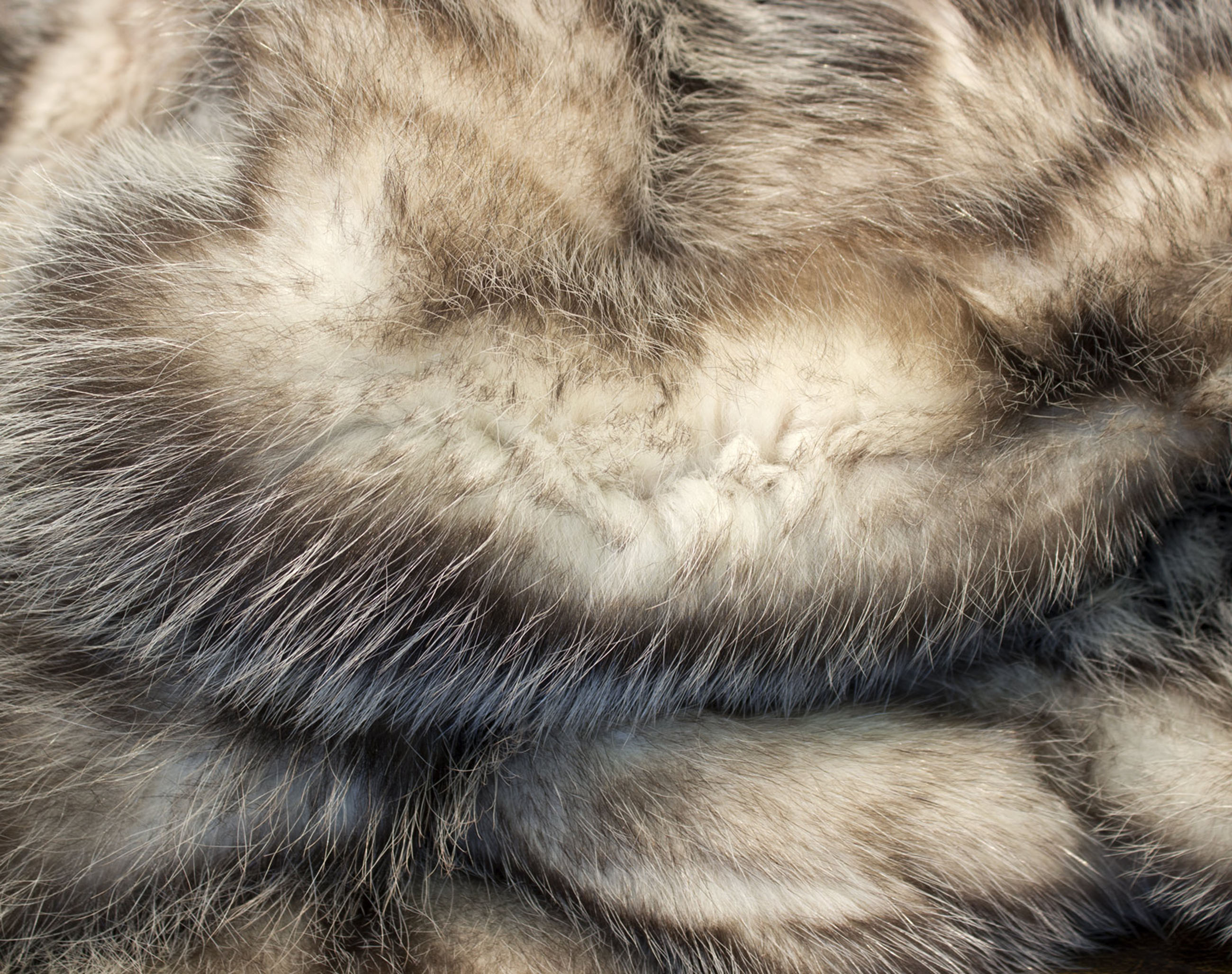 American Opossum Fur Pillow