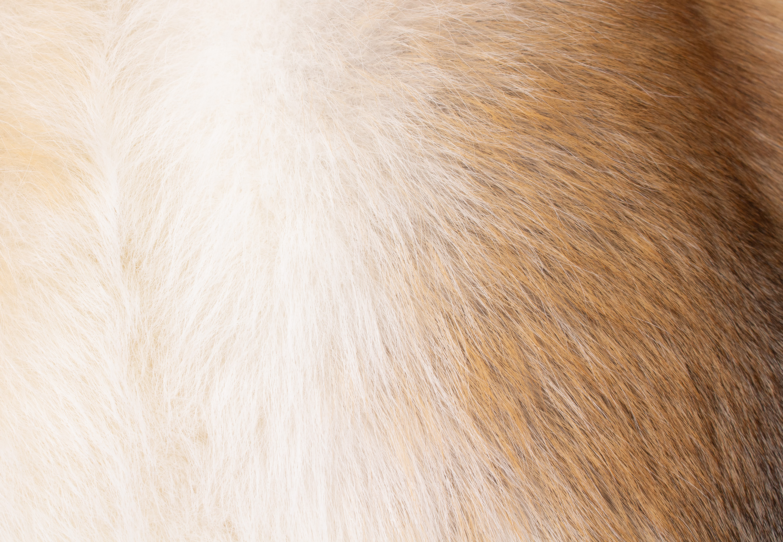 Sun Glo Fox Fur Pillow Made from Real Fur