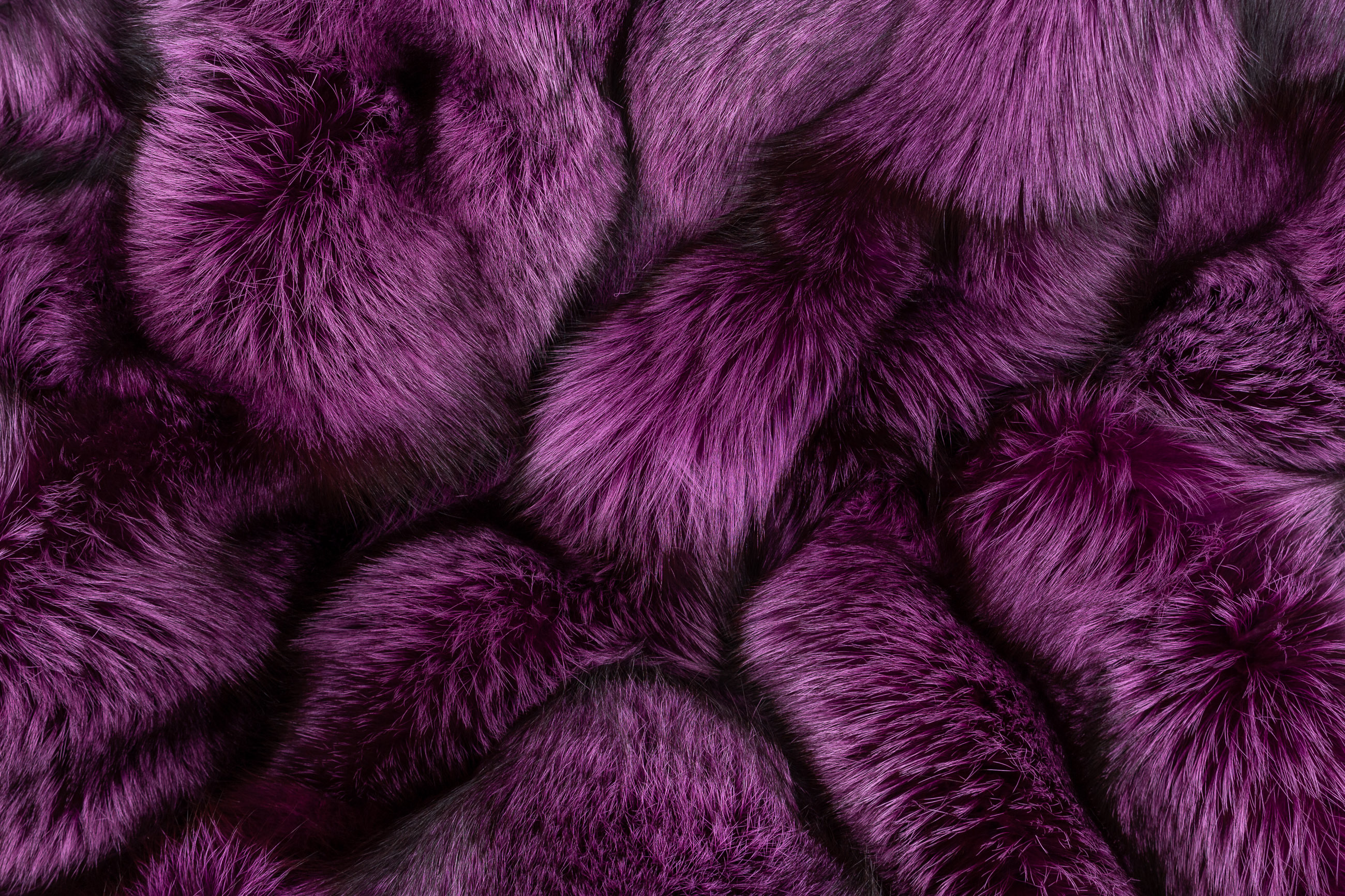 Real Fur Blanket made with Silver Foxes in Purple