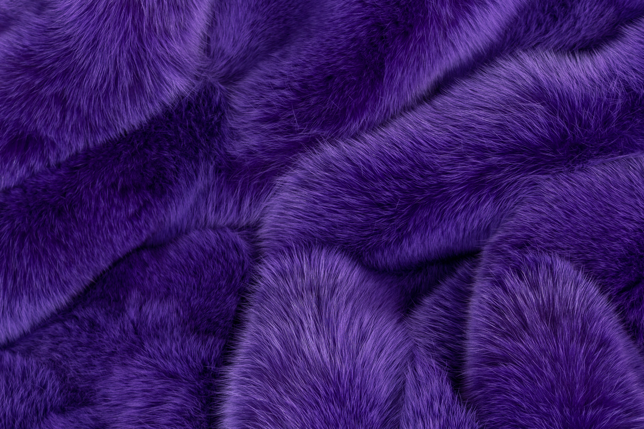 Real Fur Blue Fox Blanket in Purple