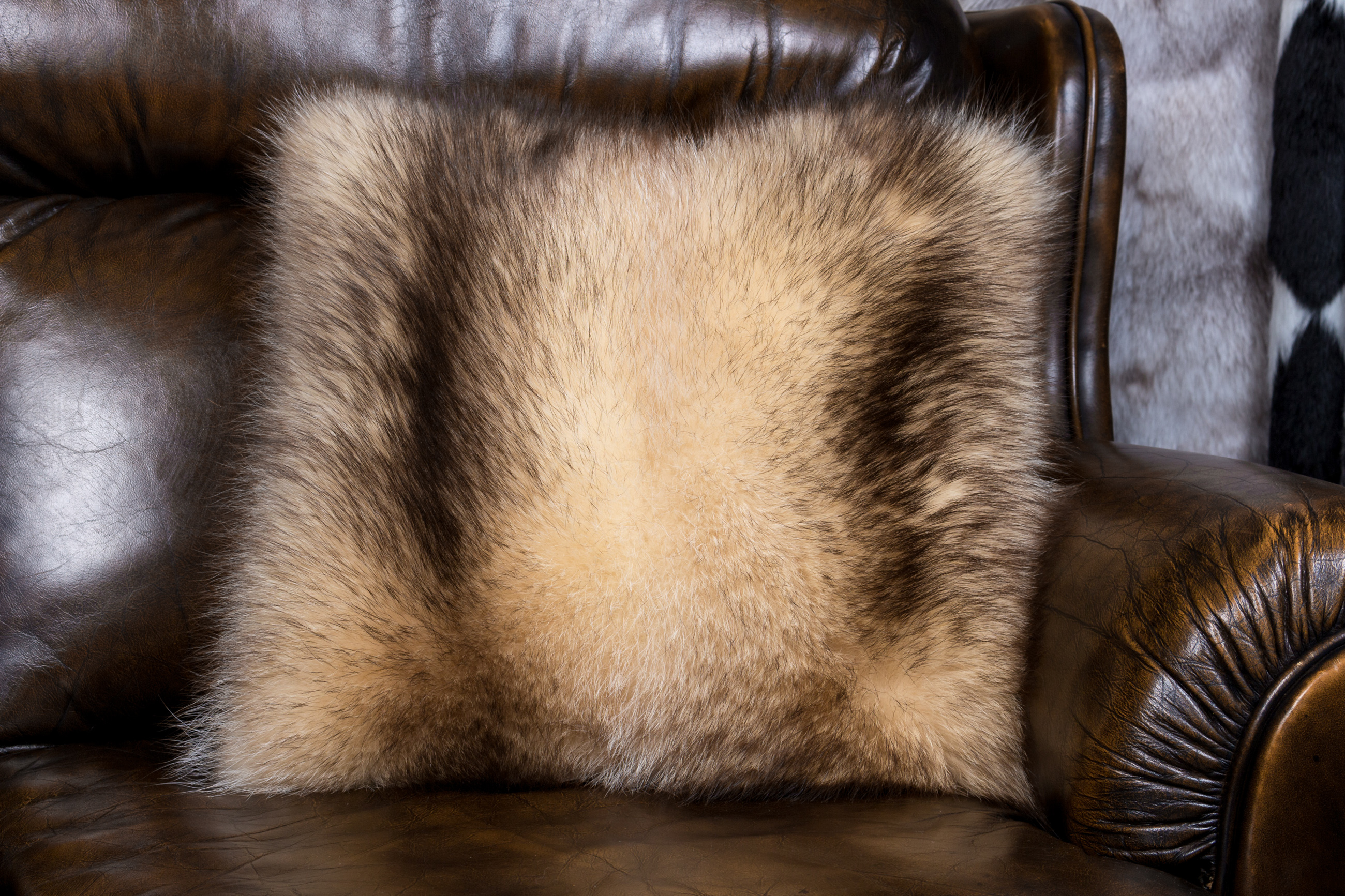 Fur Pillow Canadian Raccoon