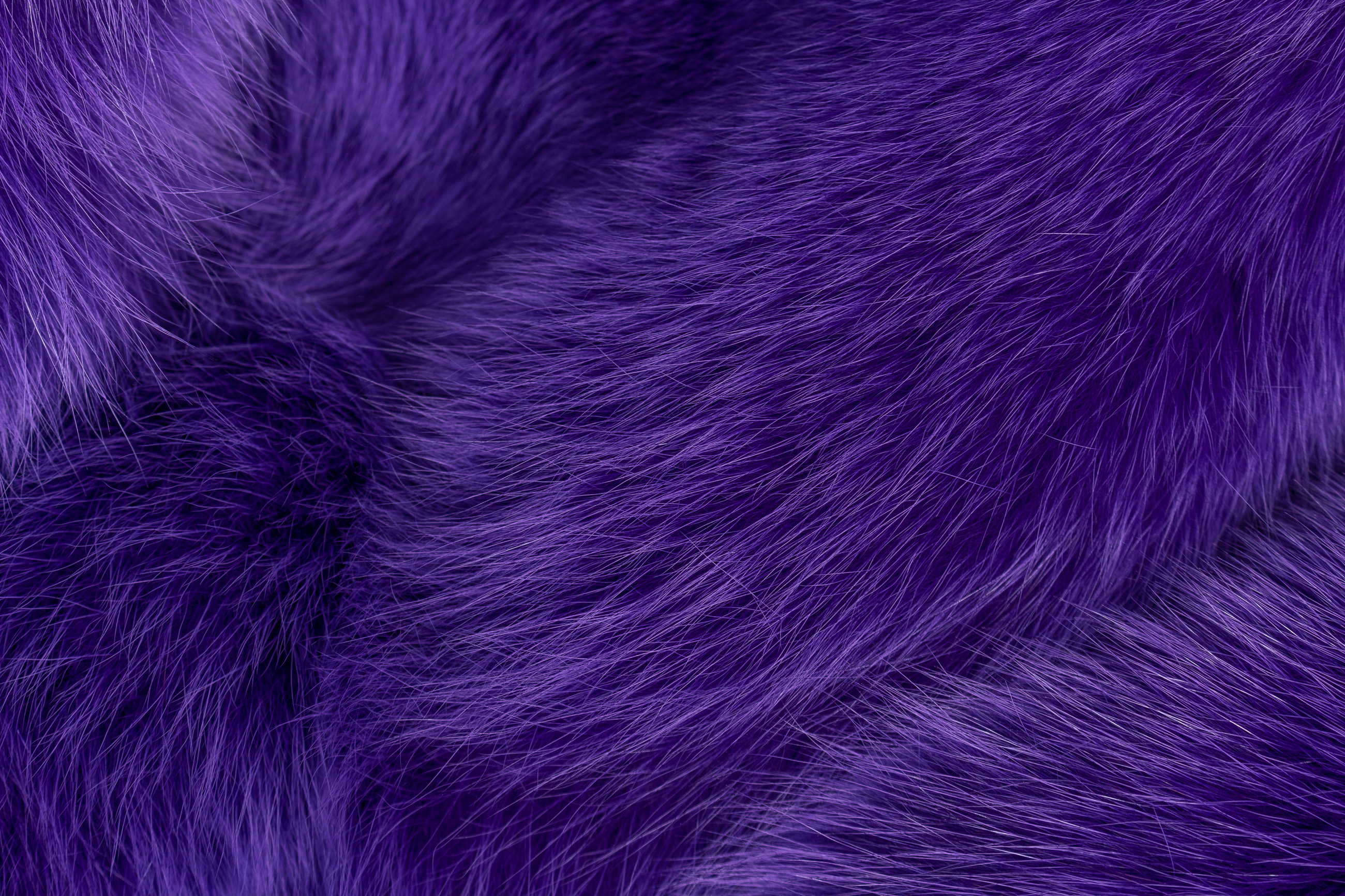 Real Fur Blue Fox Blanket in Purple