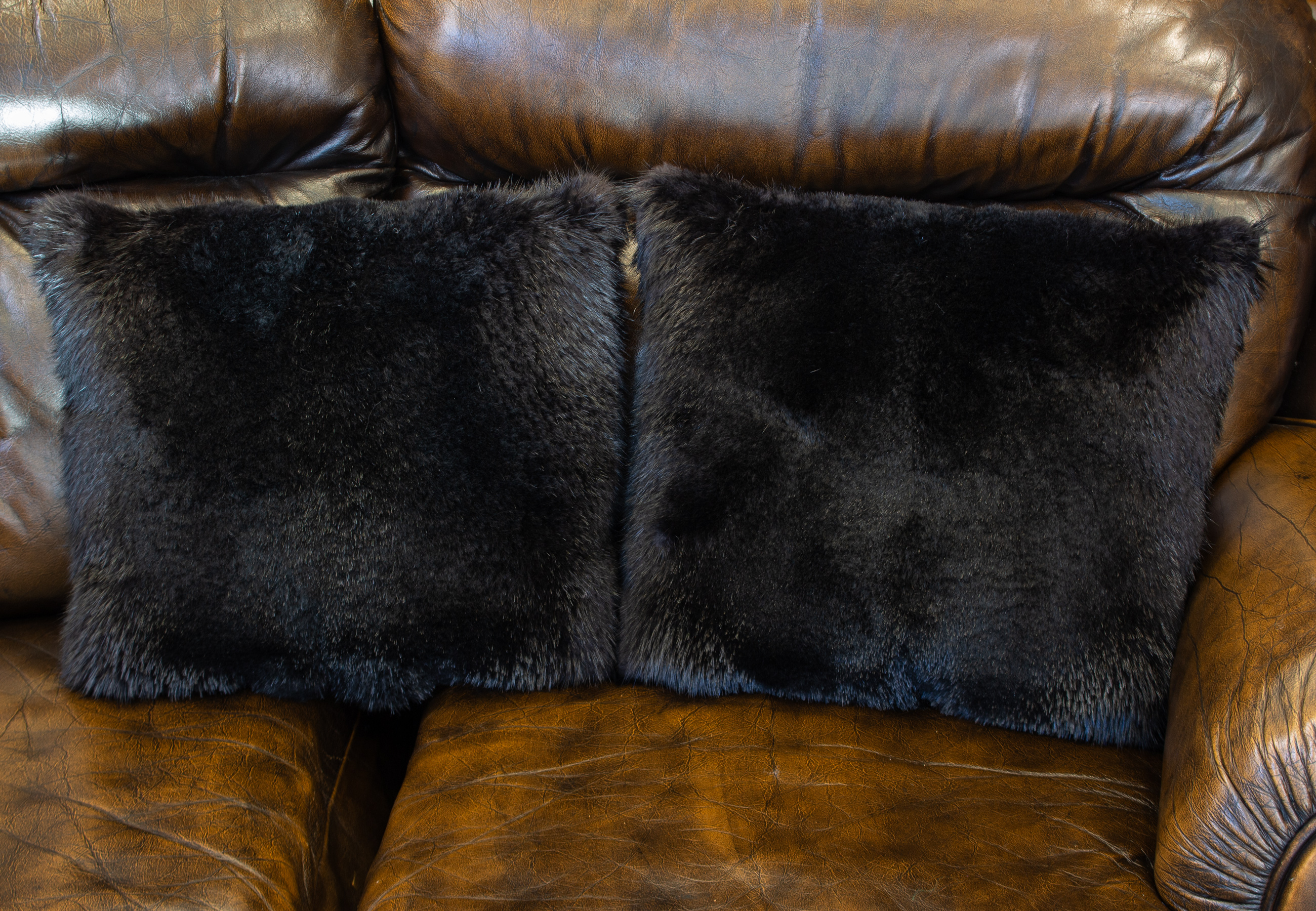Sheared Beaver Fur Pillow Sheared Beaver Fur Pillow