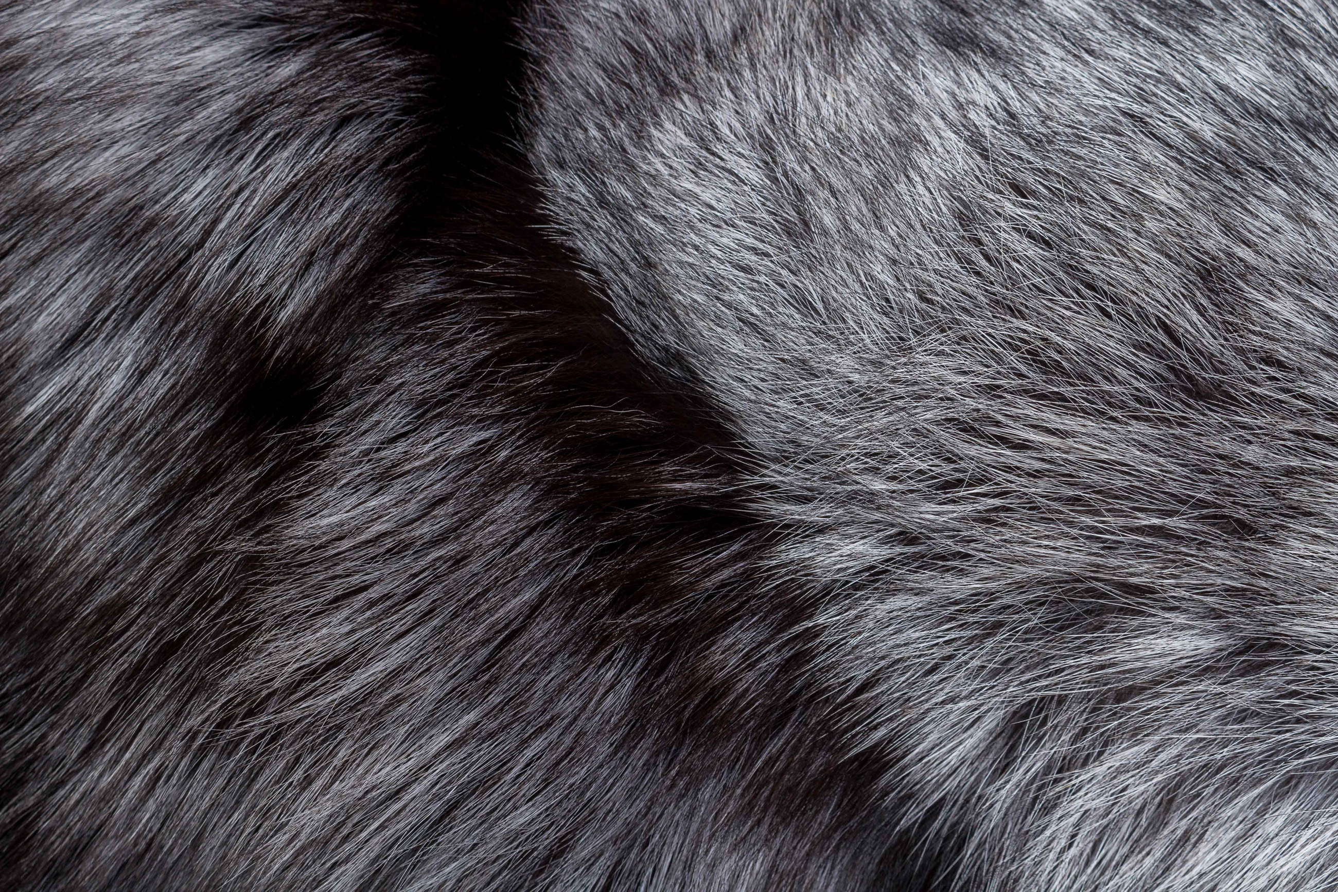 SAGA Silver Fox Fur Blanket - natural