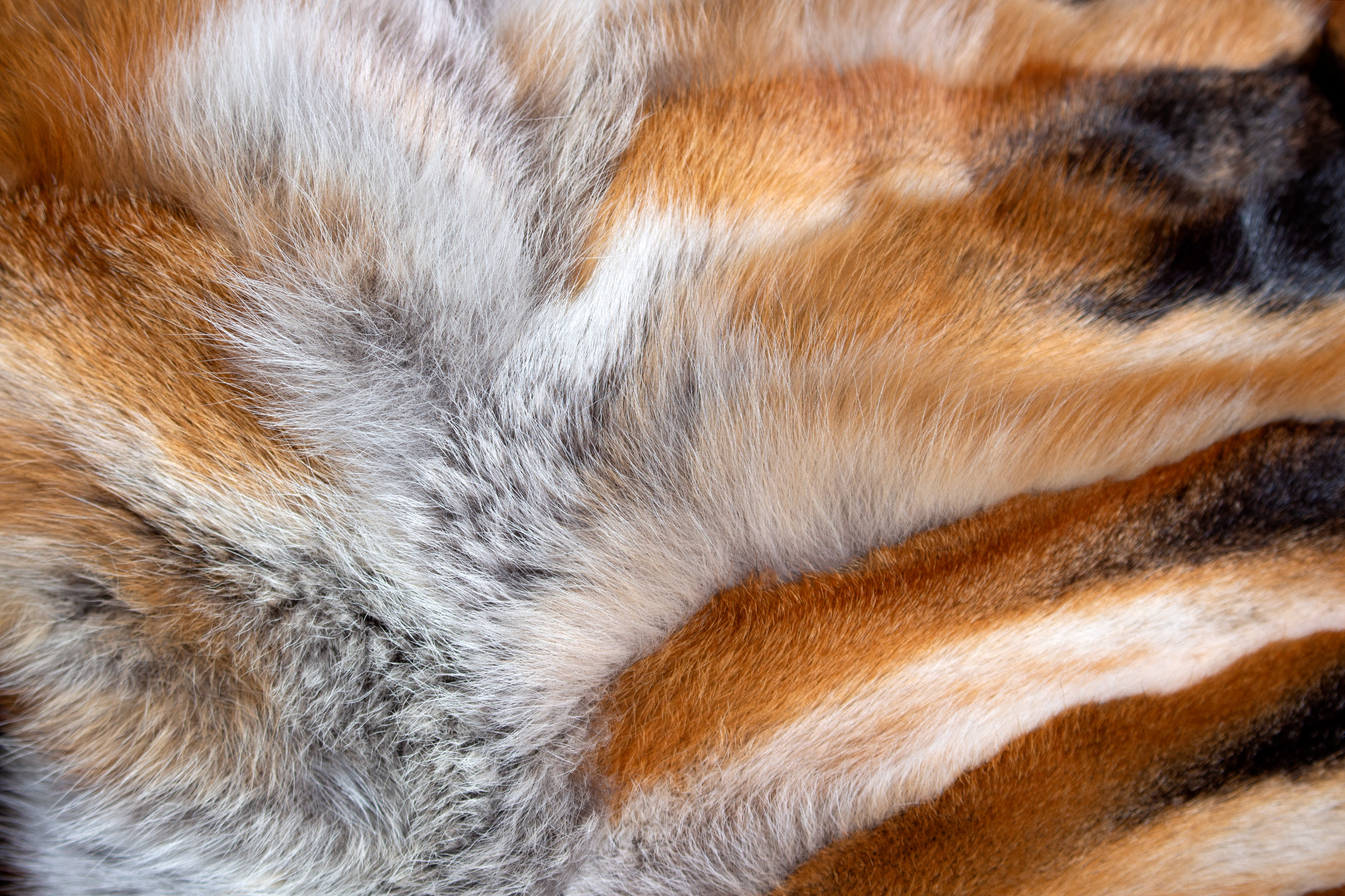 European Red Fox Sides Fur Pillow - Fur on both sides
