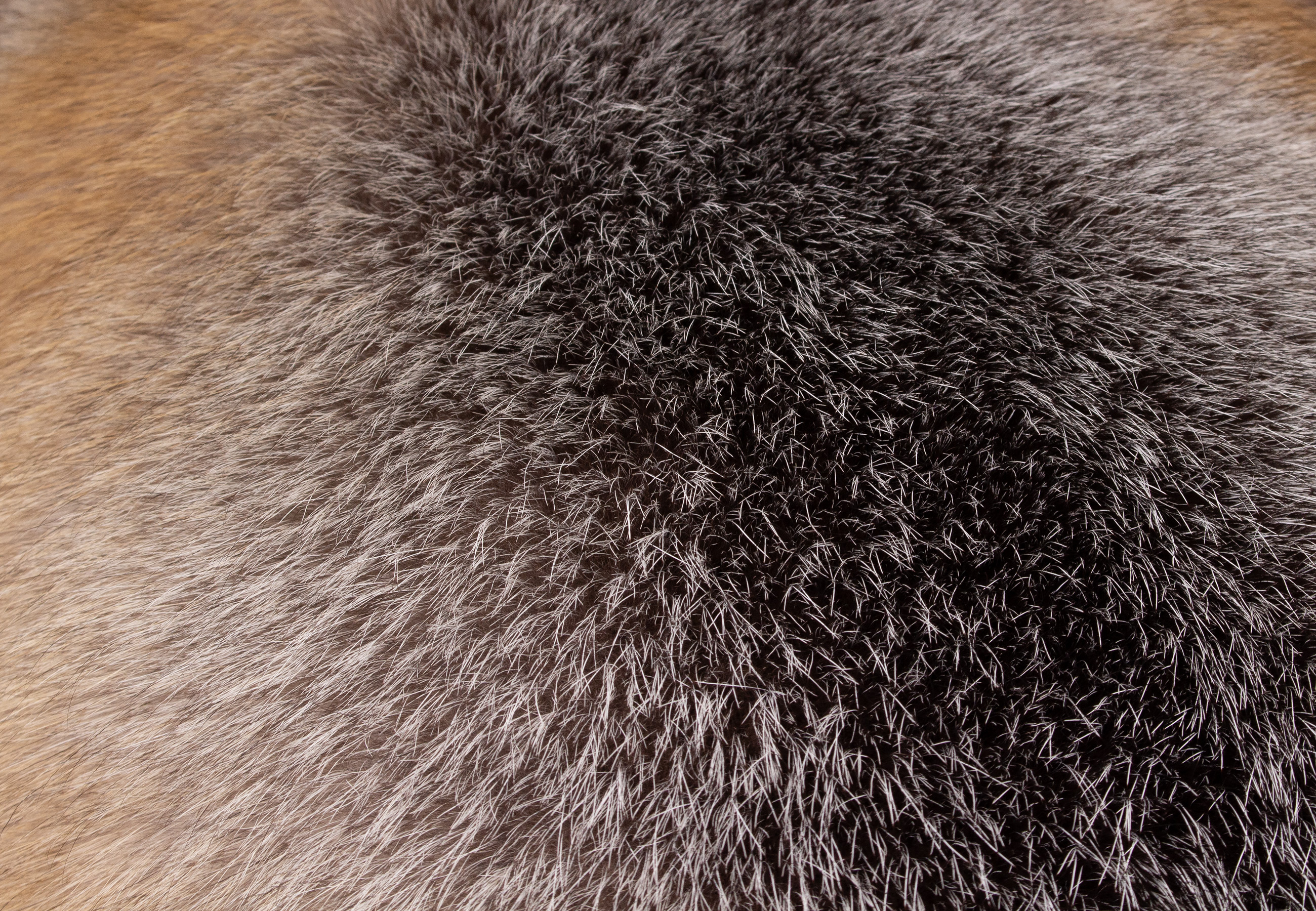 Blue Frost Fox Fur Cushion 'Northern Light'