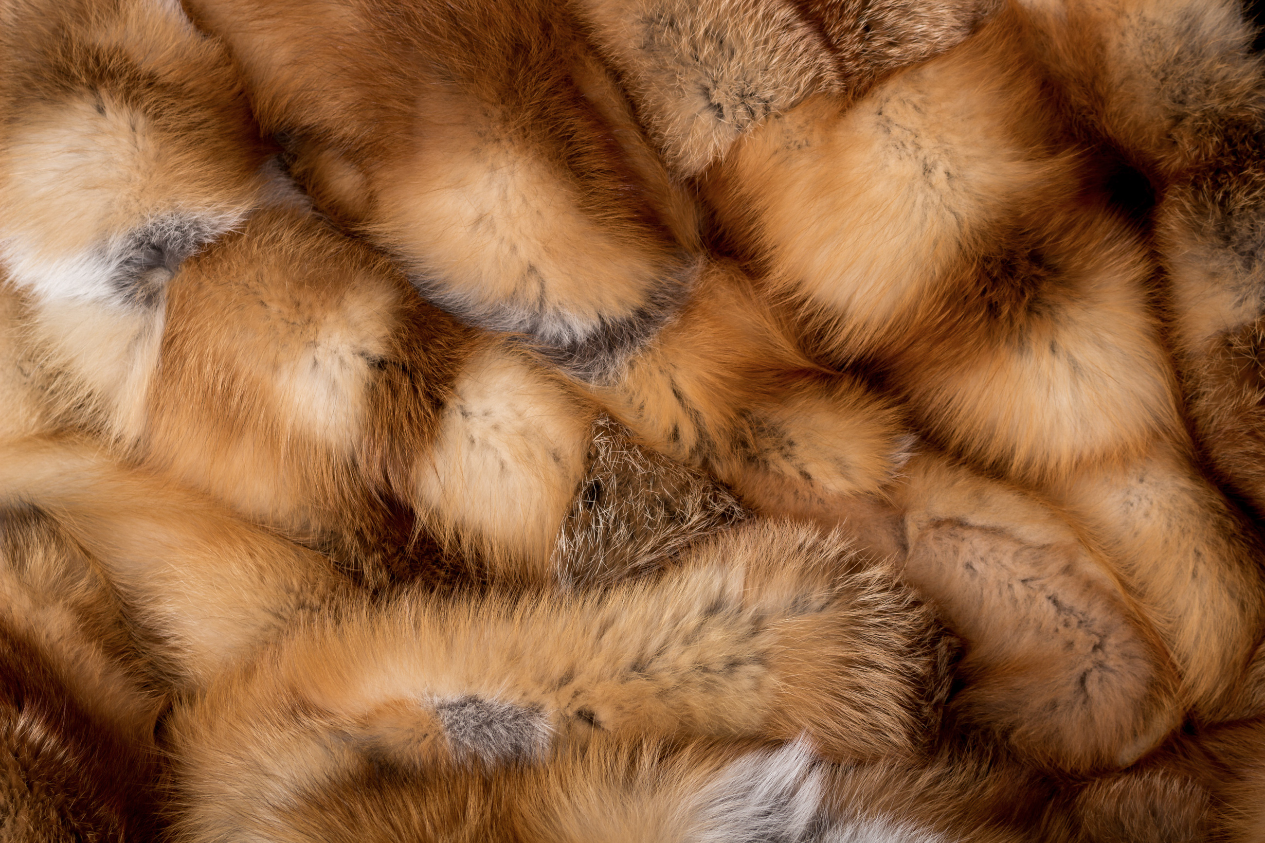 Canadian Redfox Fur Blanket