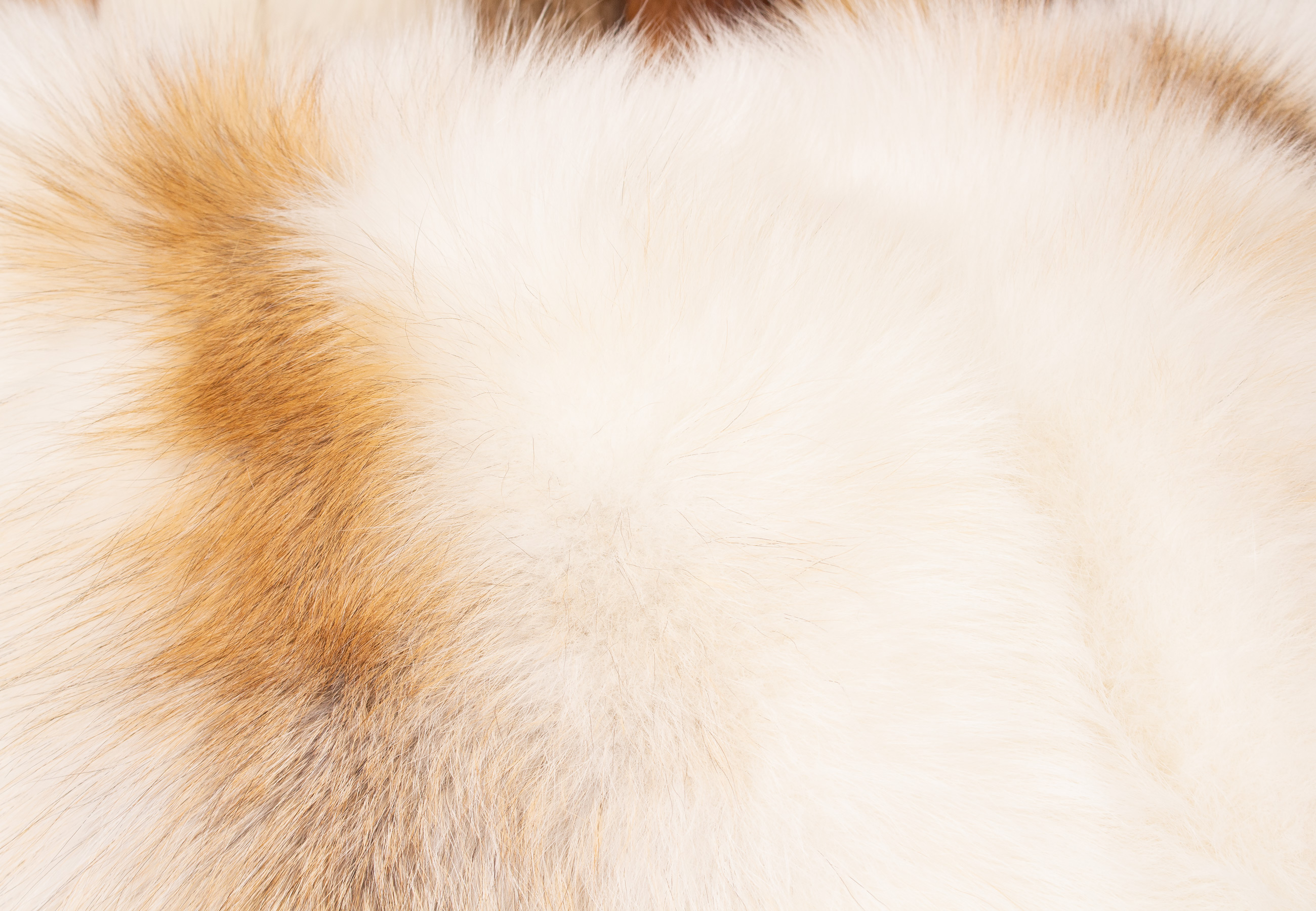Noble Sun Glo Fur Pillow