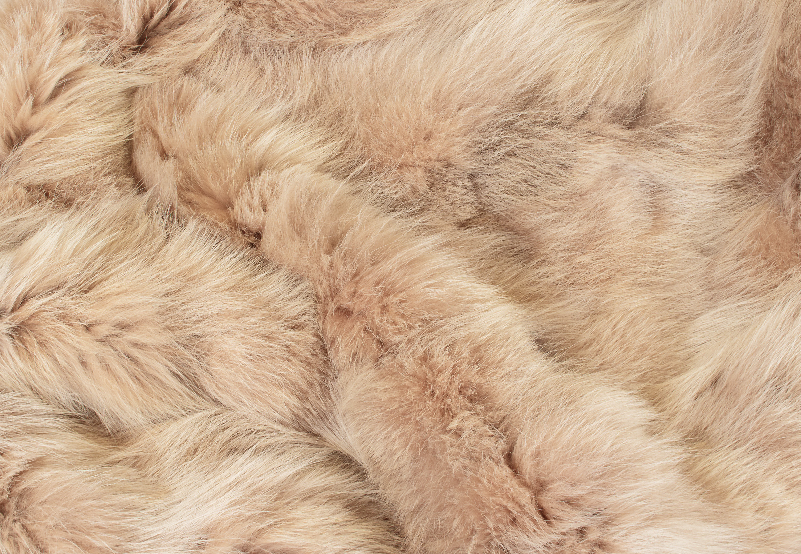 Soft Coyote-sides Fur Blanket in Sand Beige