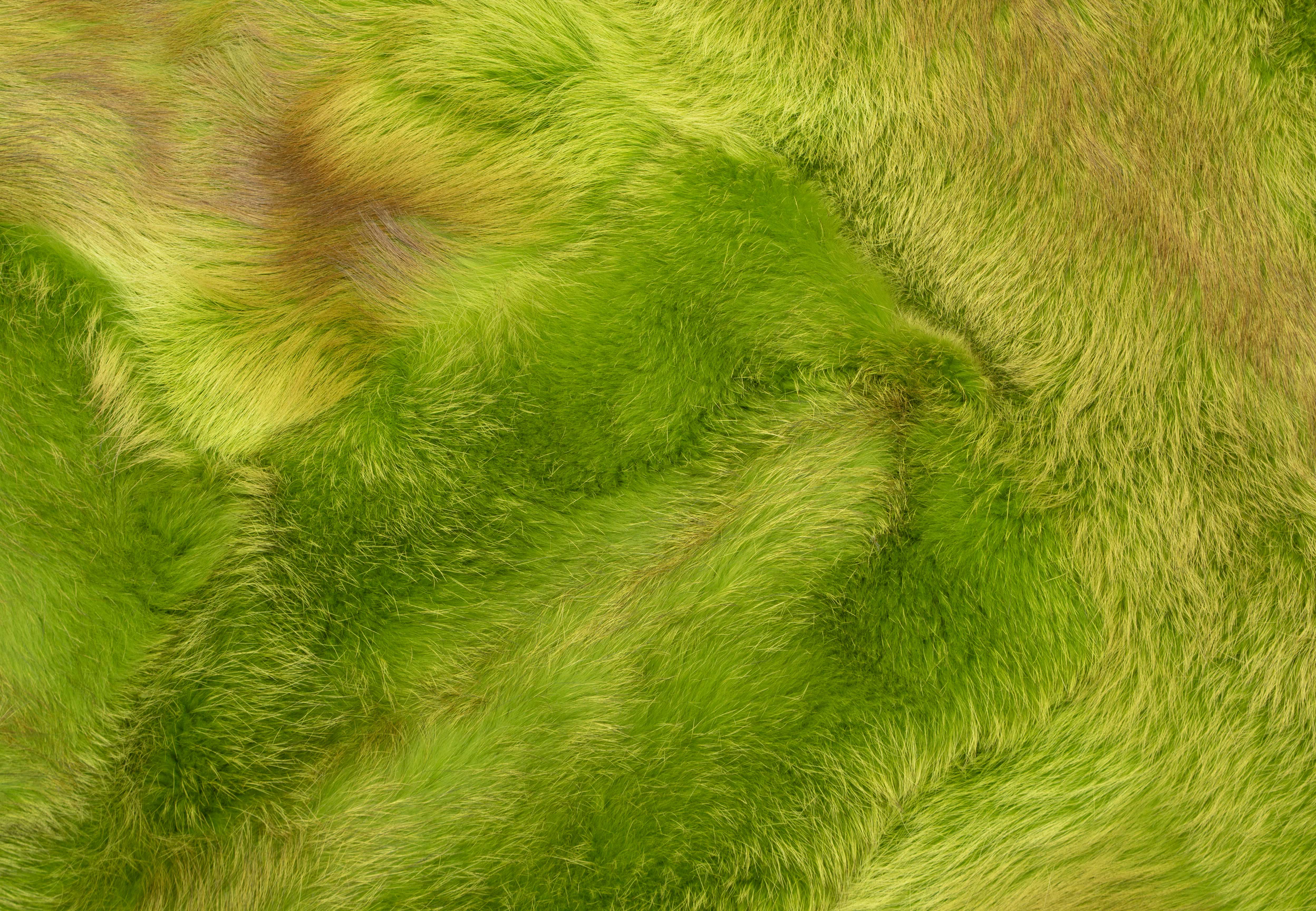 Red Fox Rug in green - 100% Real Fur