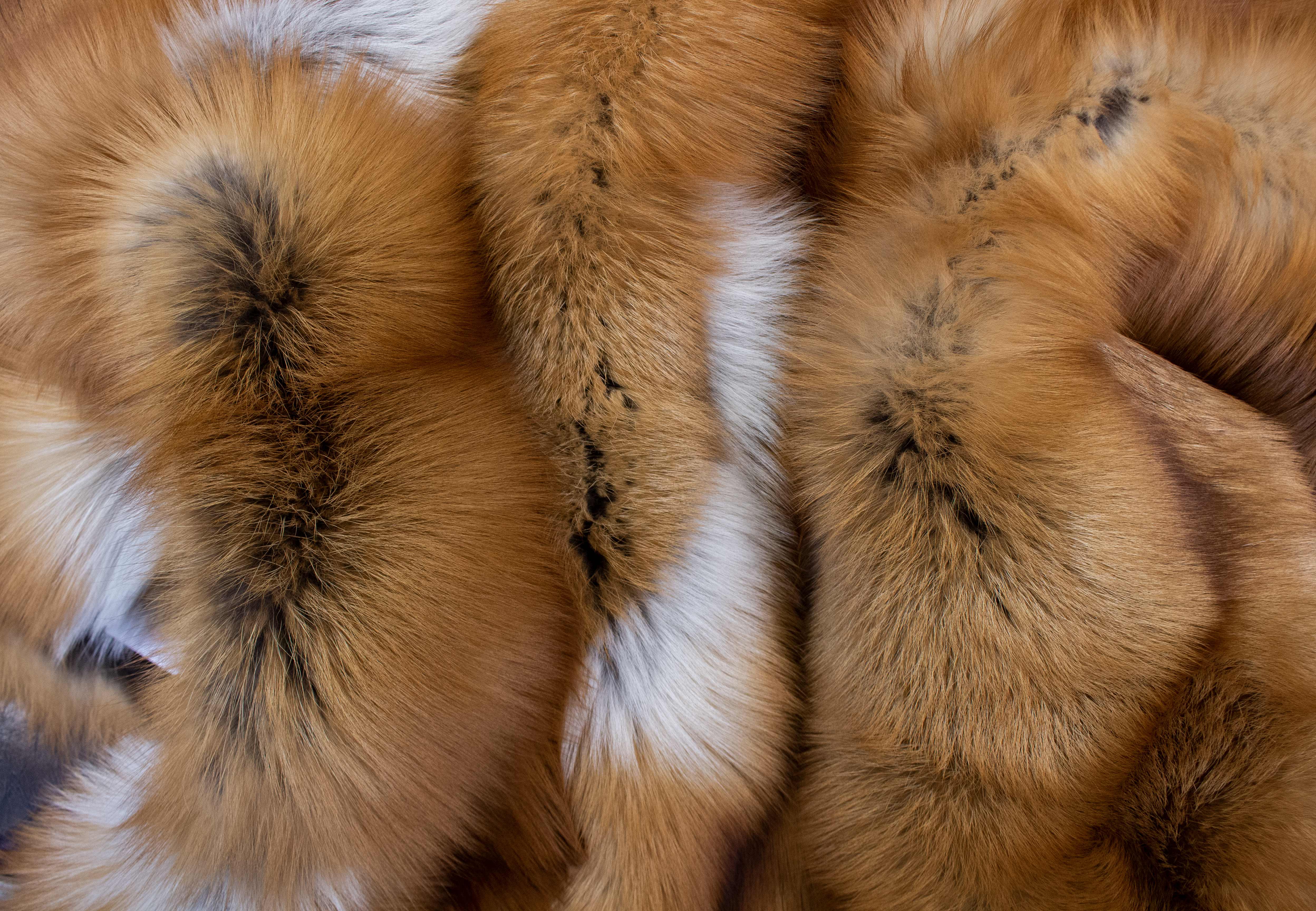 Gold Fox Fur Blanket