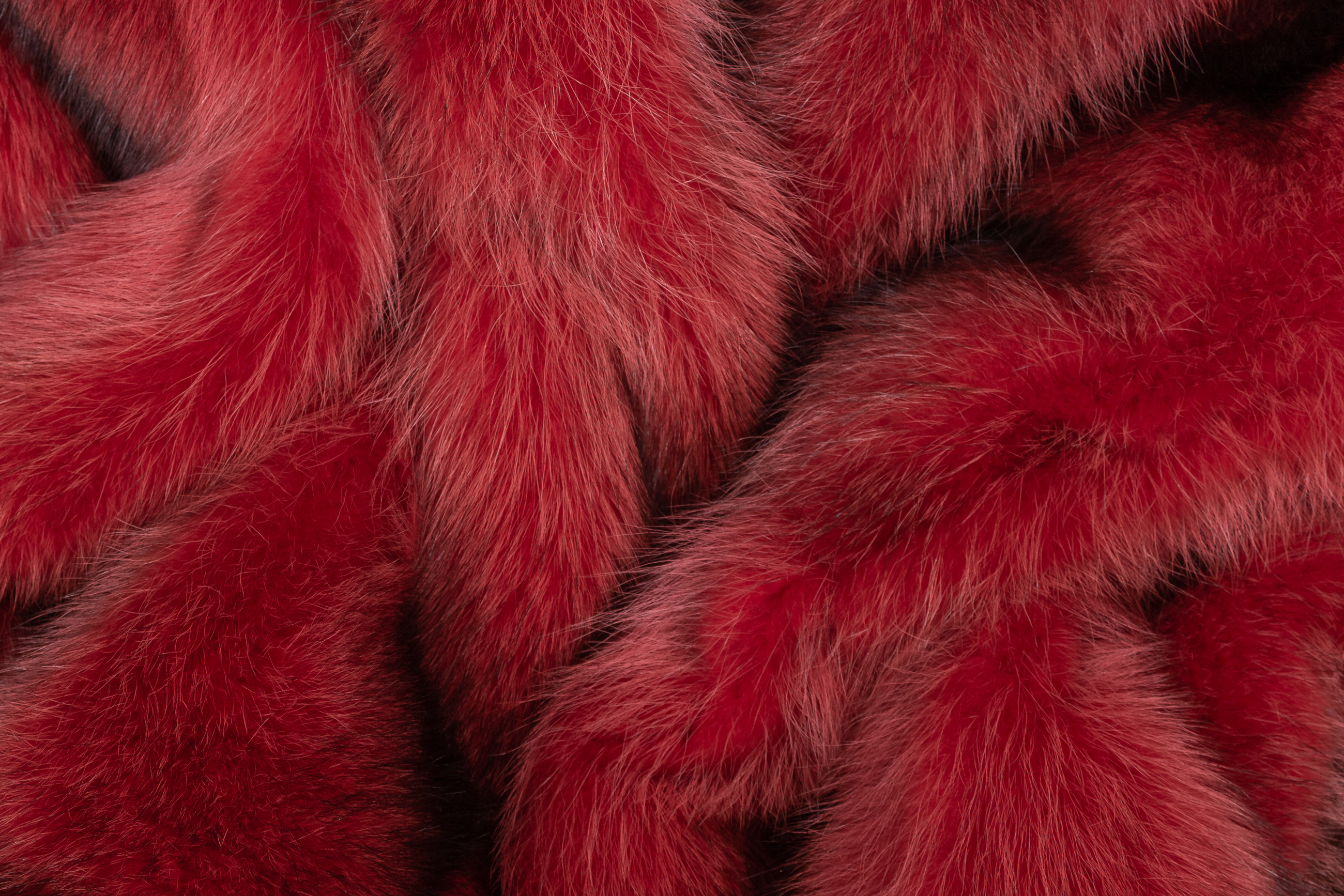 Raccoon Fur Blanket in Red from Canadian Raccoons